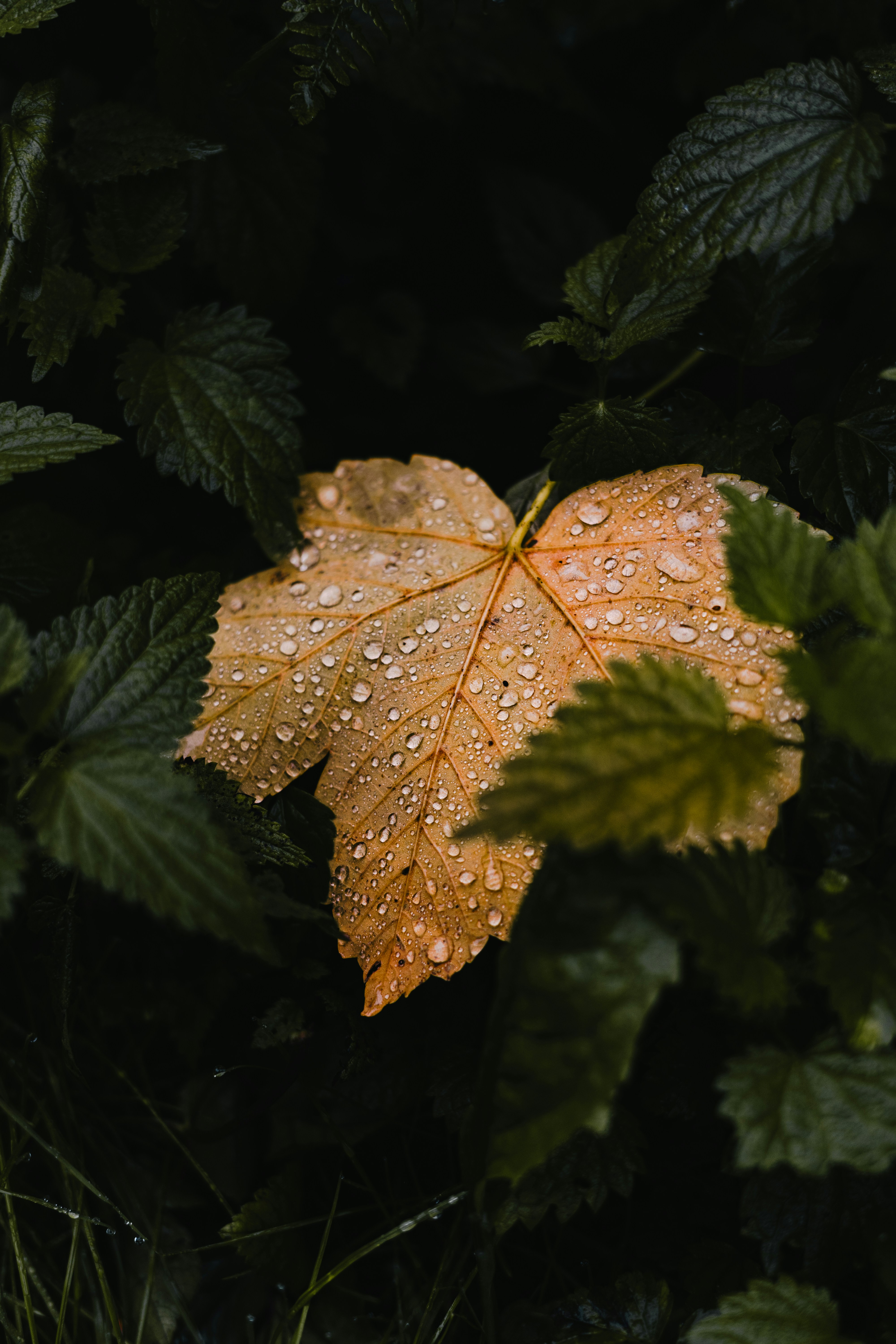 Photo by visualsbying