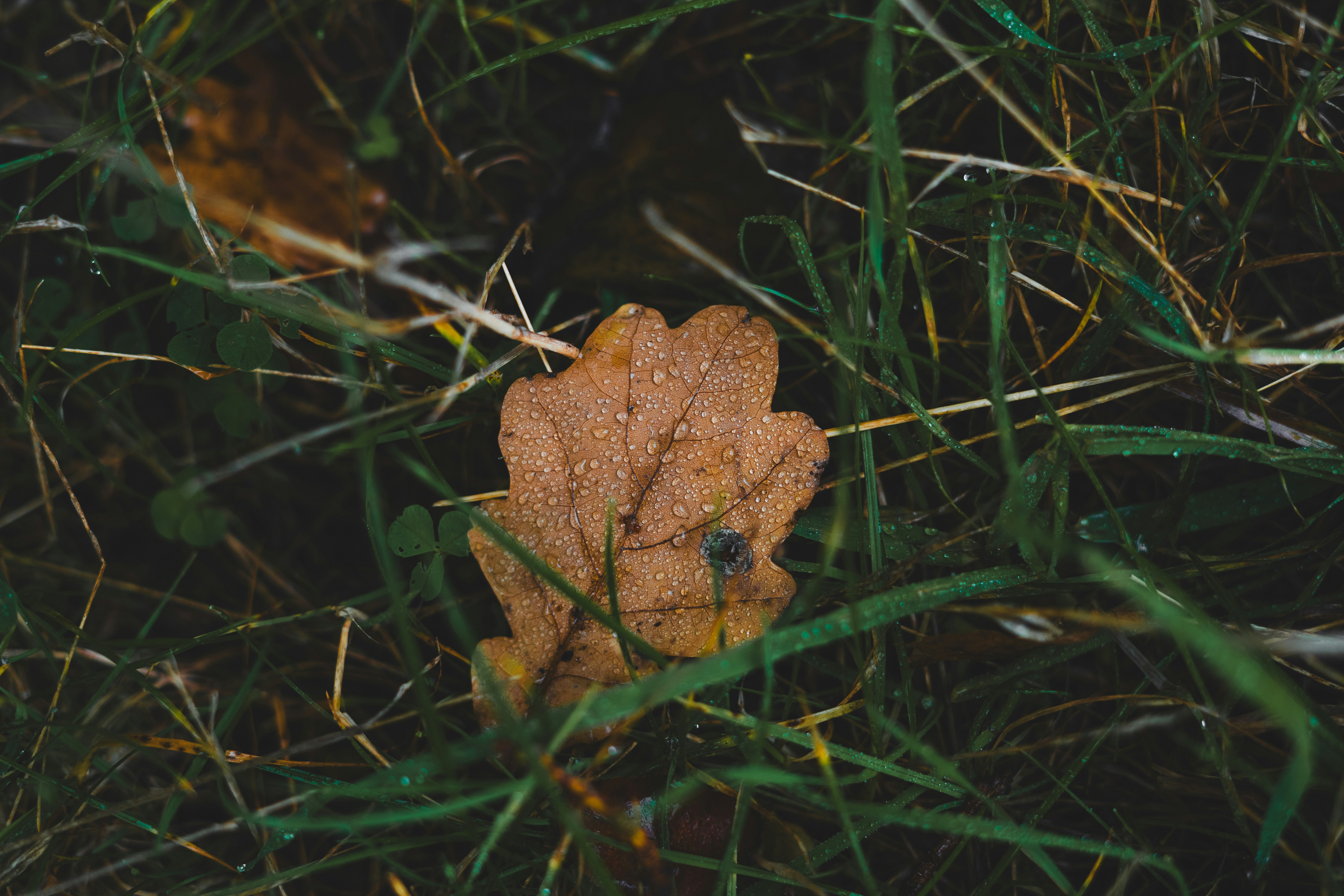 Photo by visualsbying