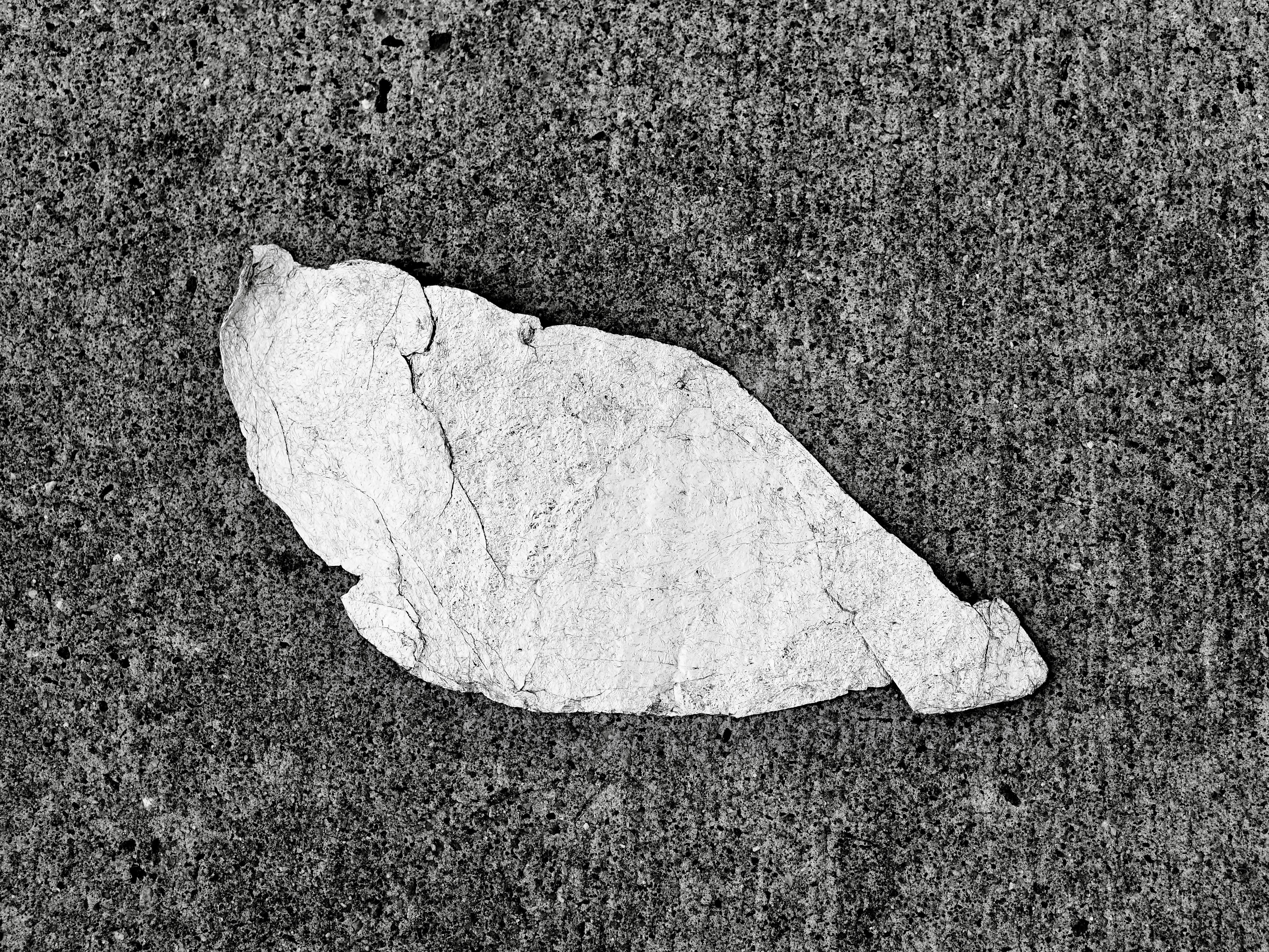 A dried leaf on a textured concrete surface.