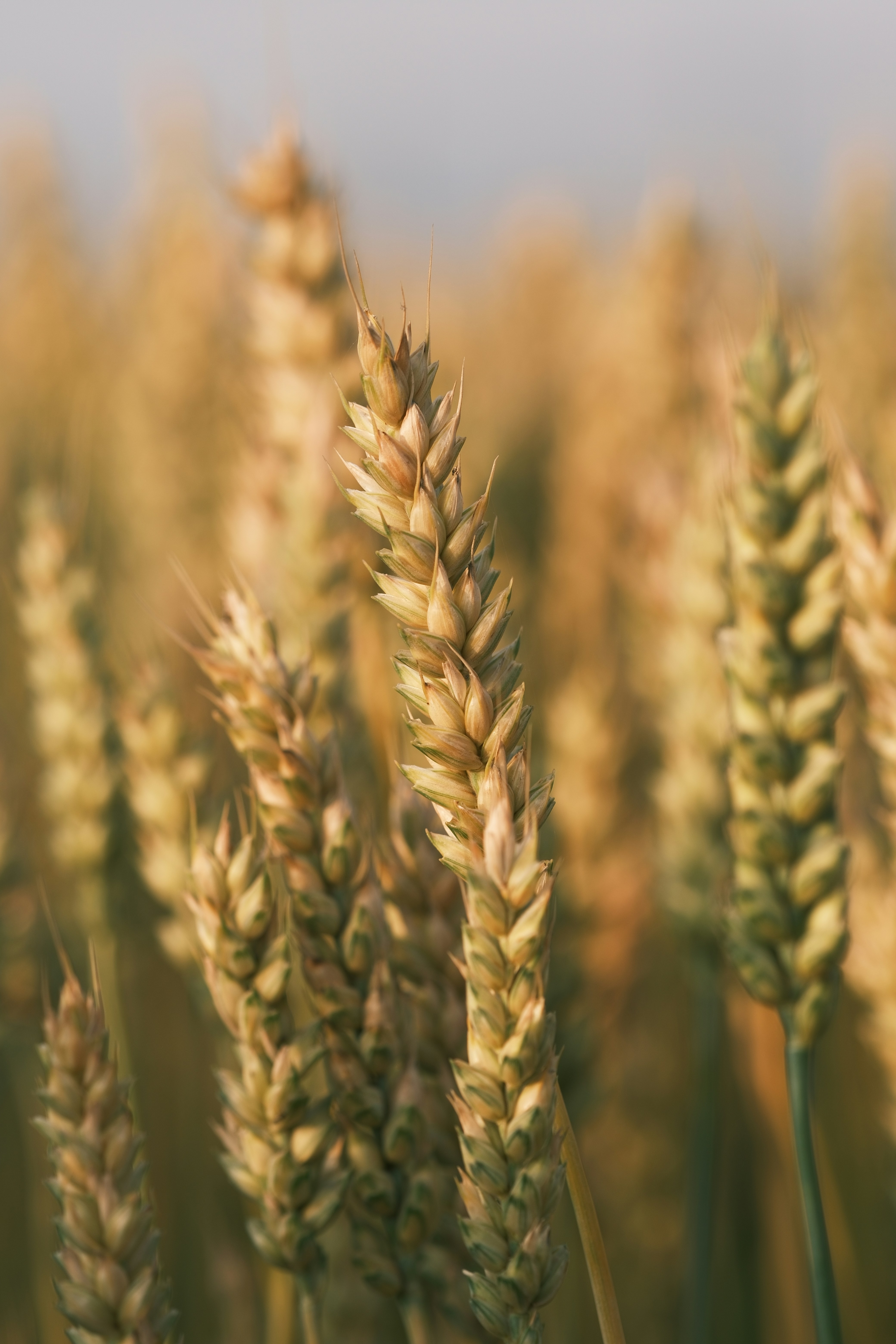 Photo by lifetimevalues