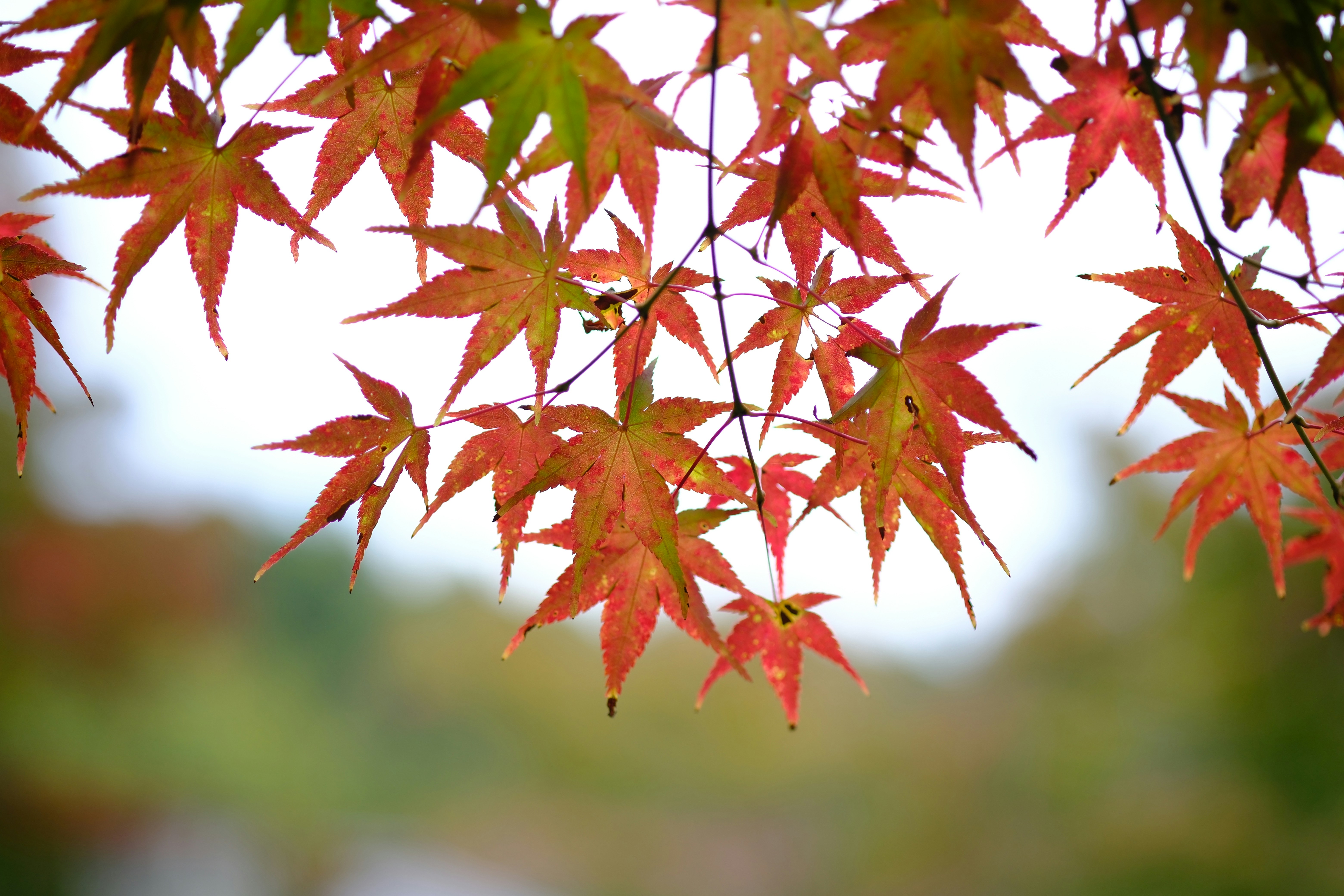 Photo by lifetimevalues