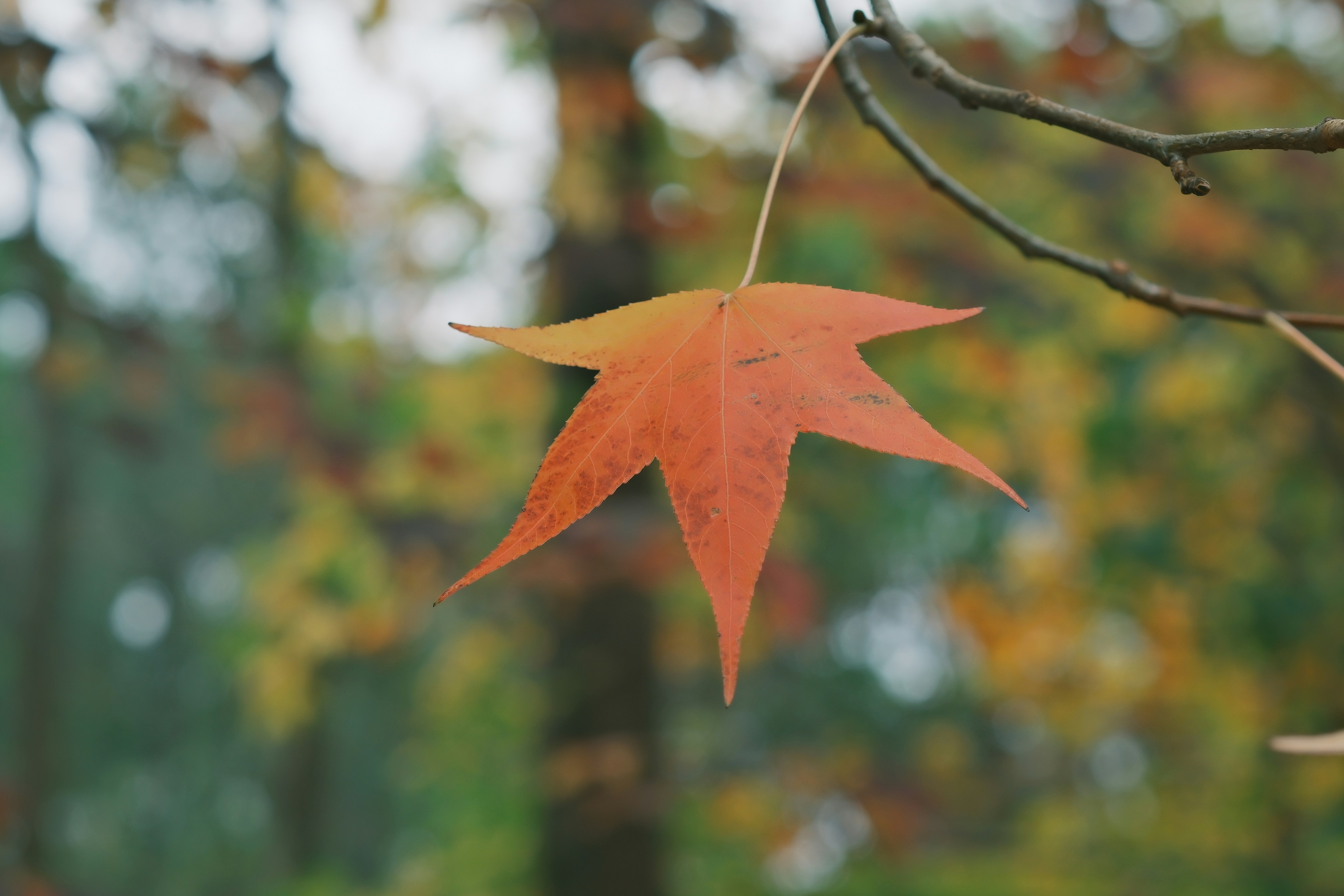 Photo by lifetimevalues