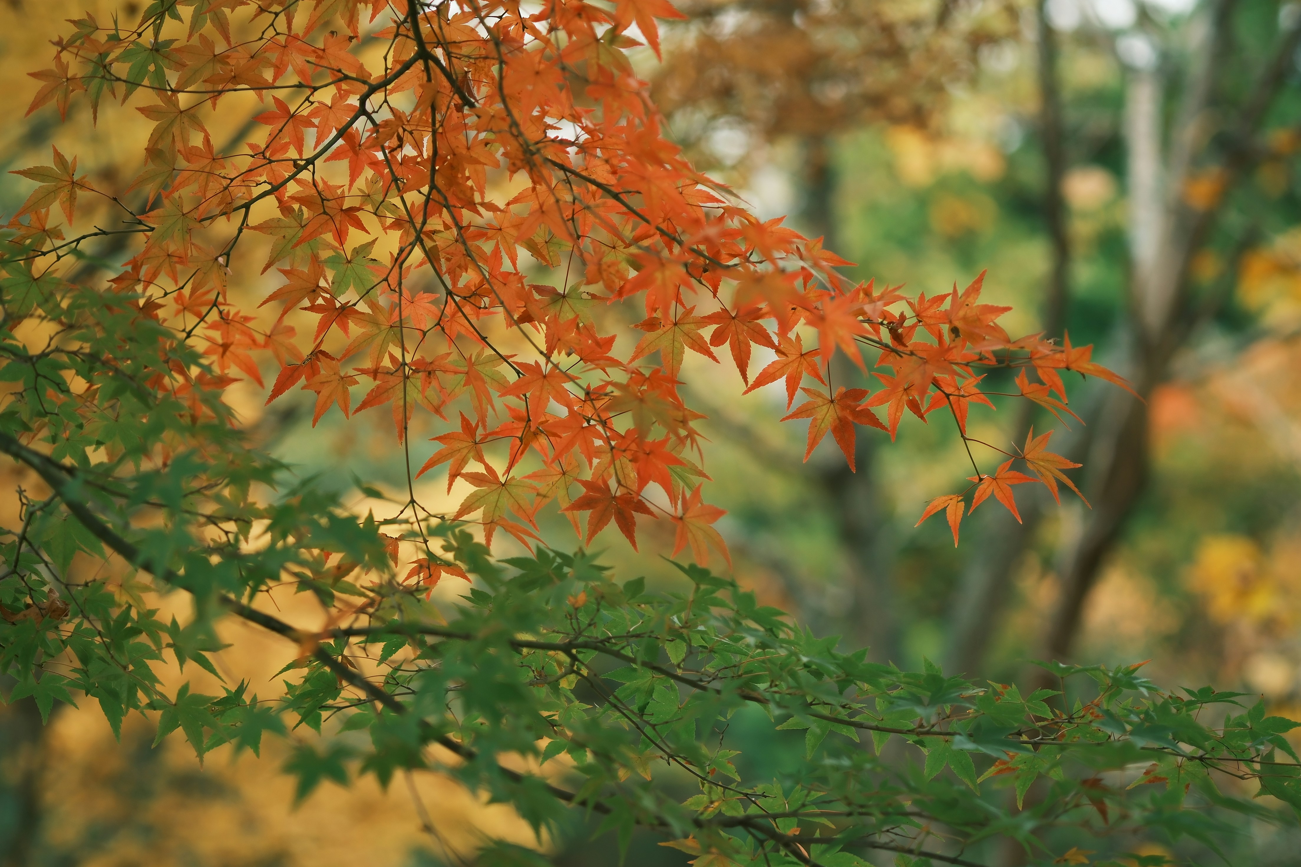 Photo by lifetimevalues