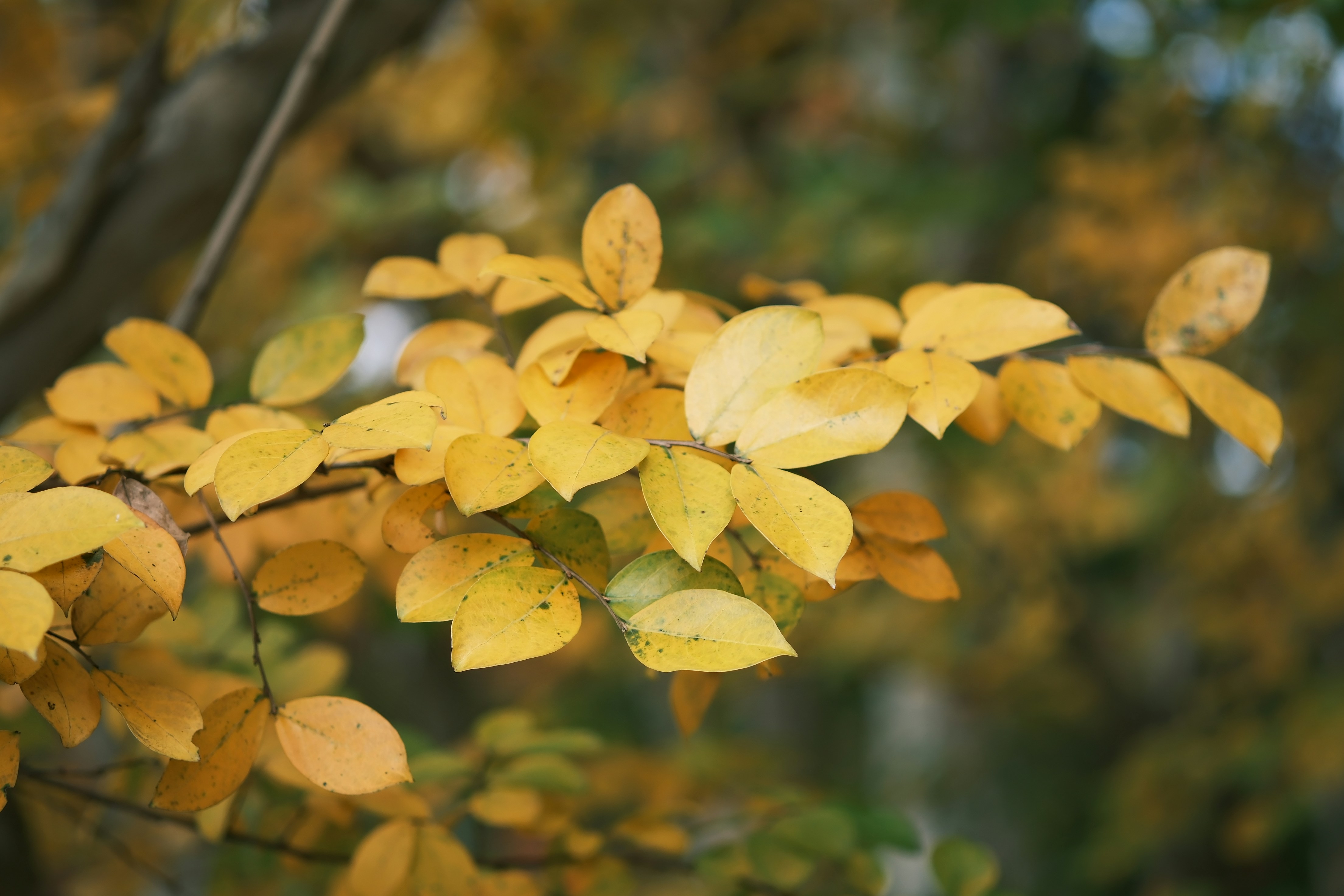 Photo by lifetimevalues