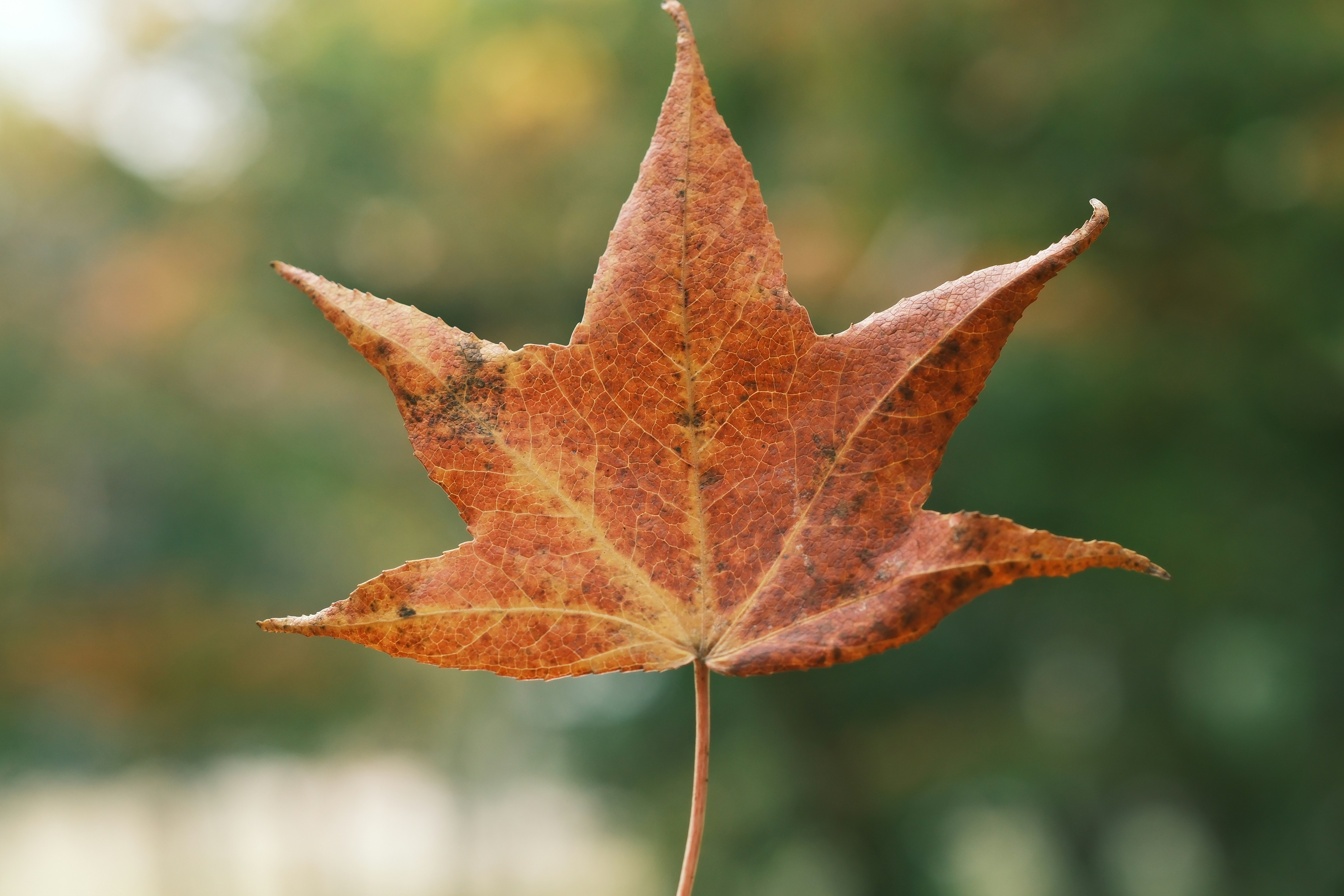 Photo by lifetimevalues