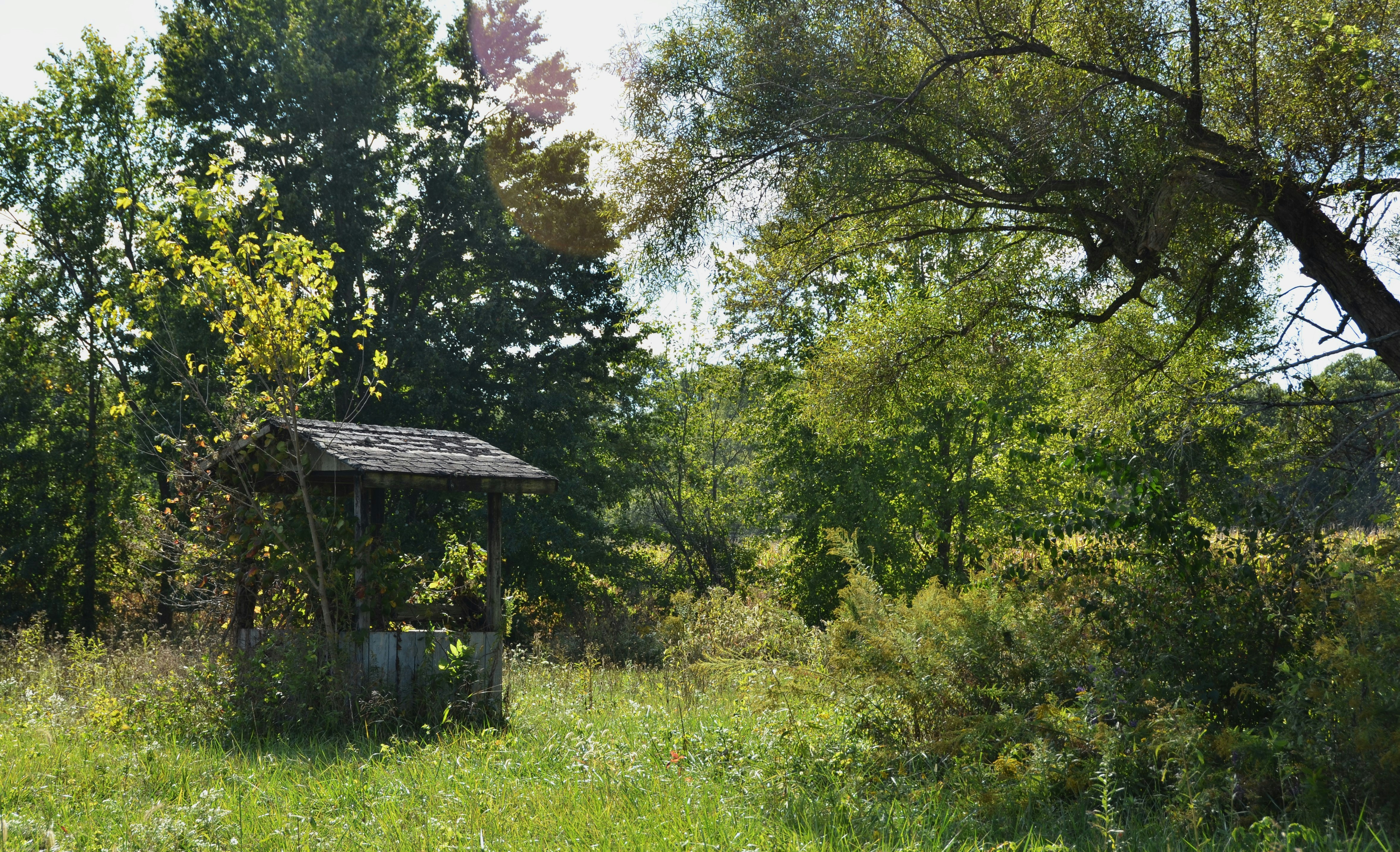 Abandoned well in a overgrown grassy field.