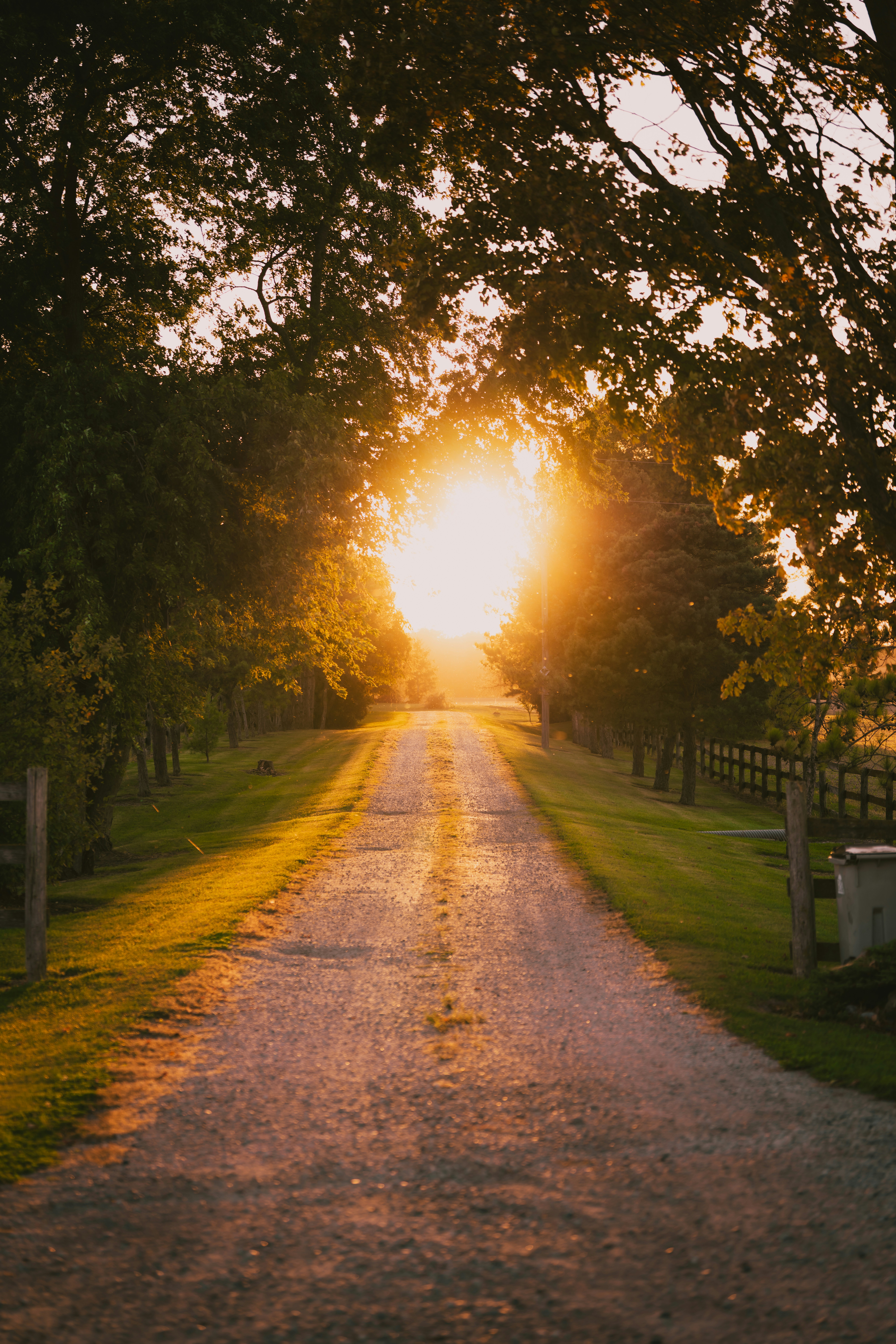 Photo by damiankravchuk