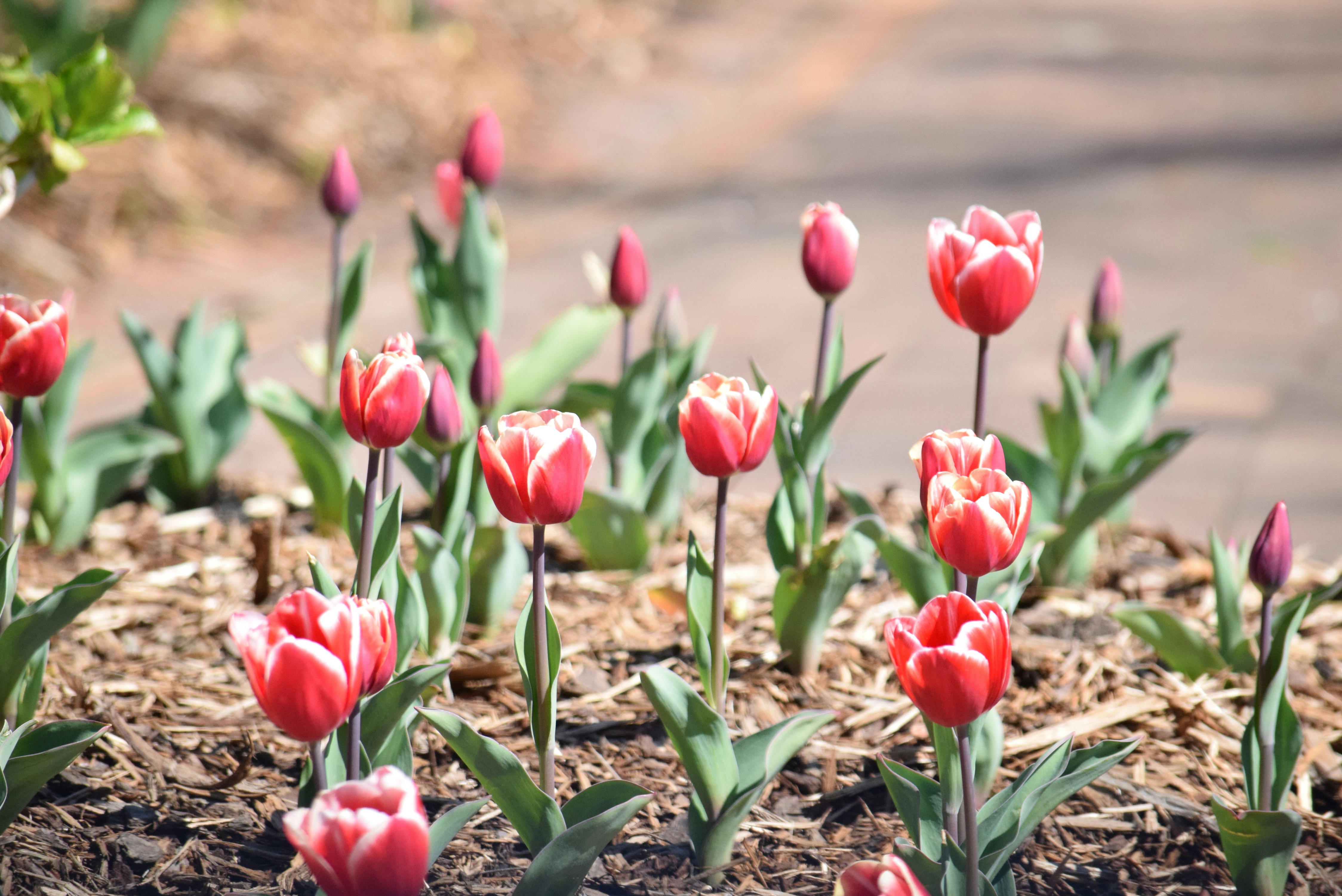 Photo by ch_photography