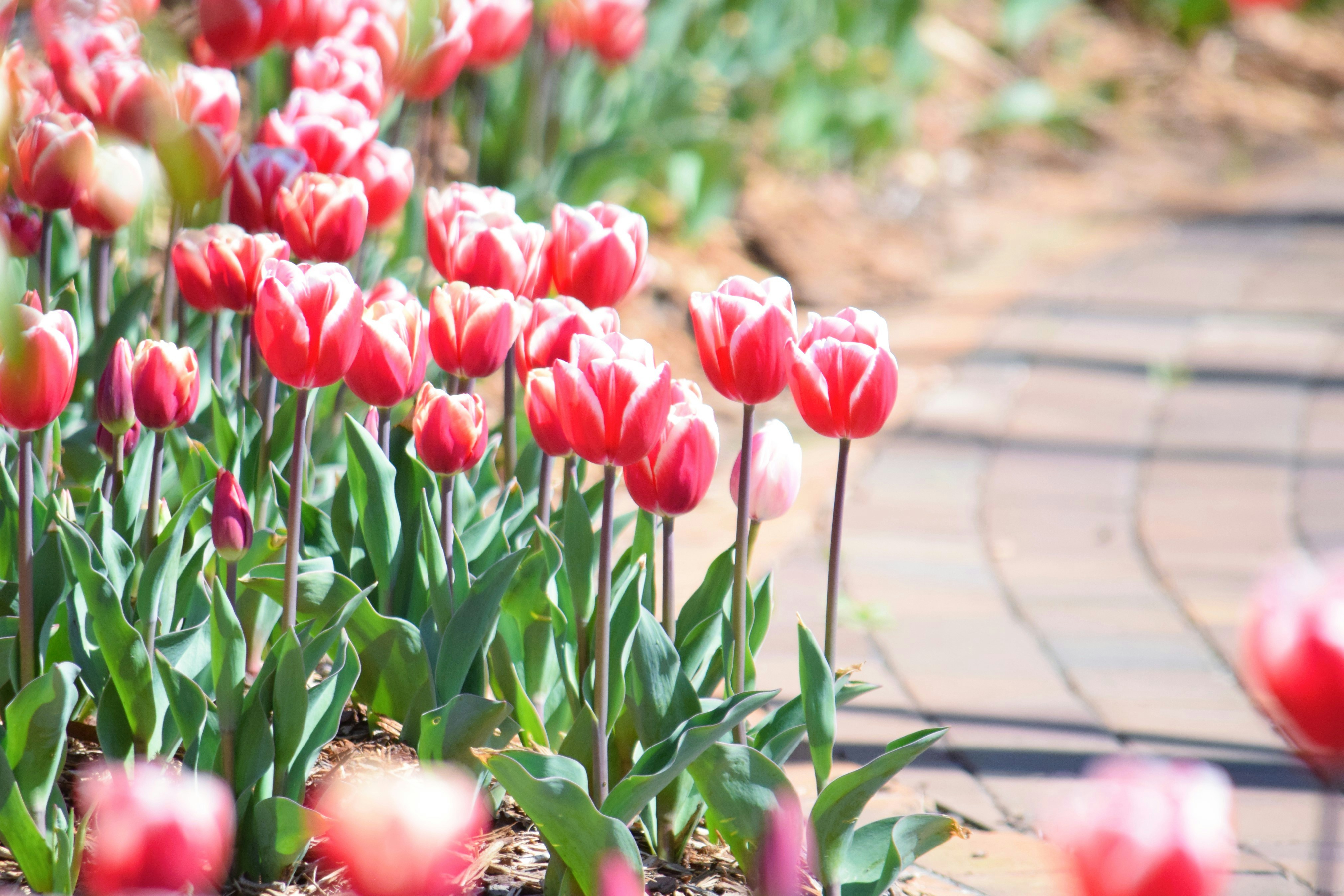 Photo by ch_photography