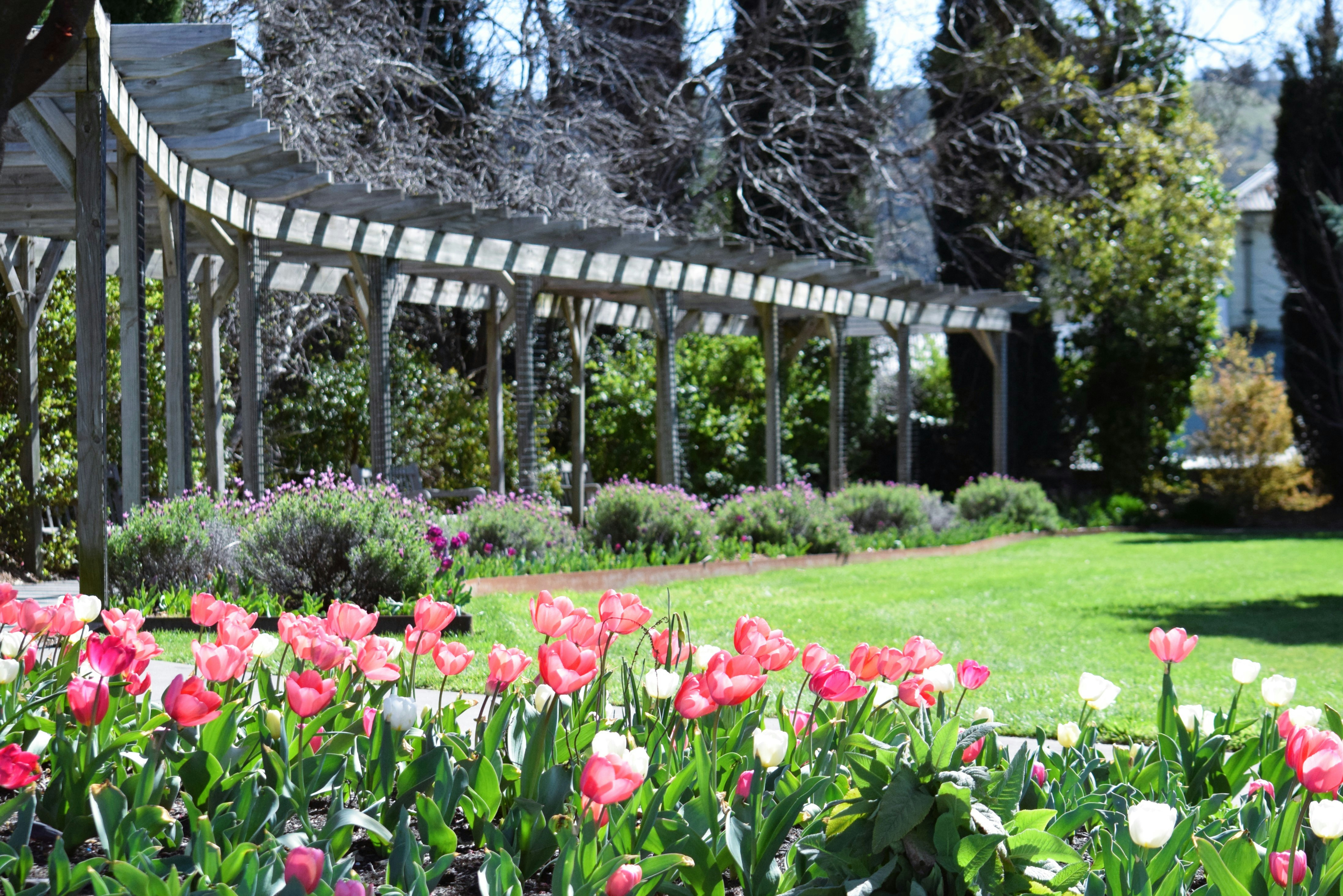 Photo by ch_photography