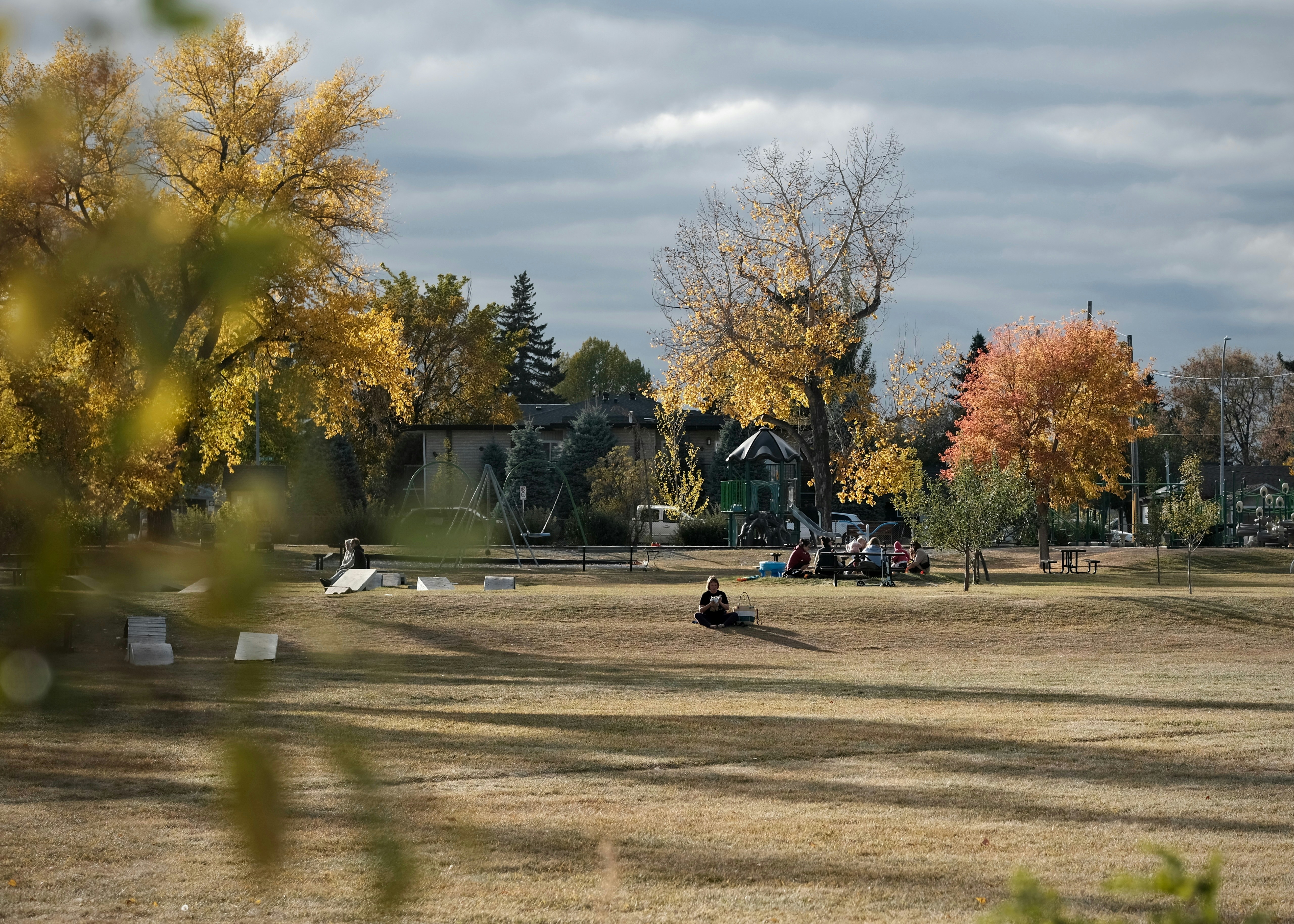 People gather in a park with autumn foliage.