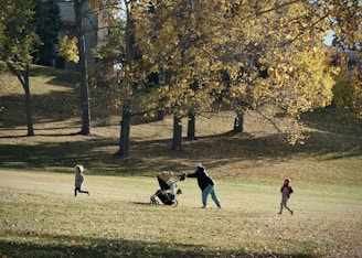 People walking with a stroller in a park