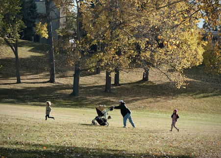 People walking with a stroller in a park