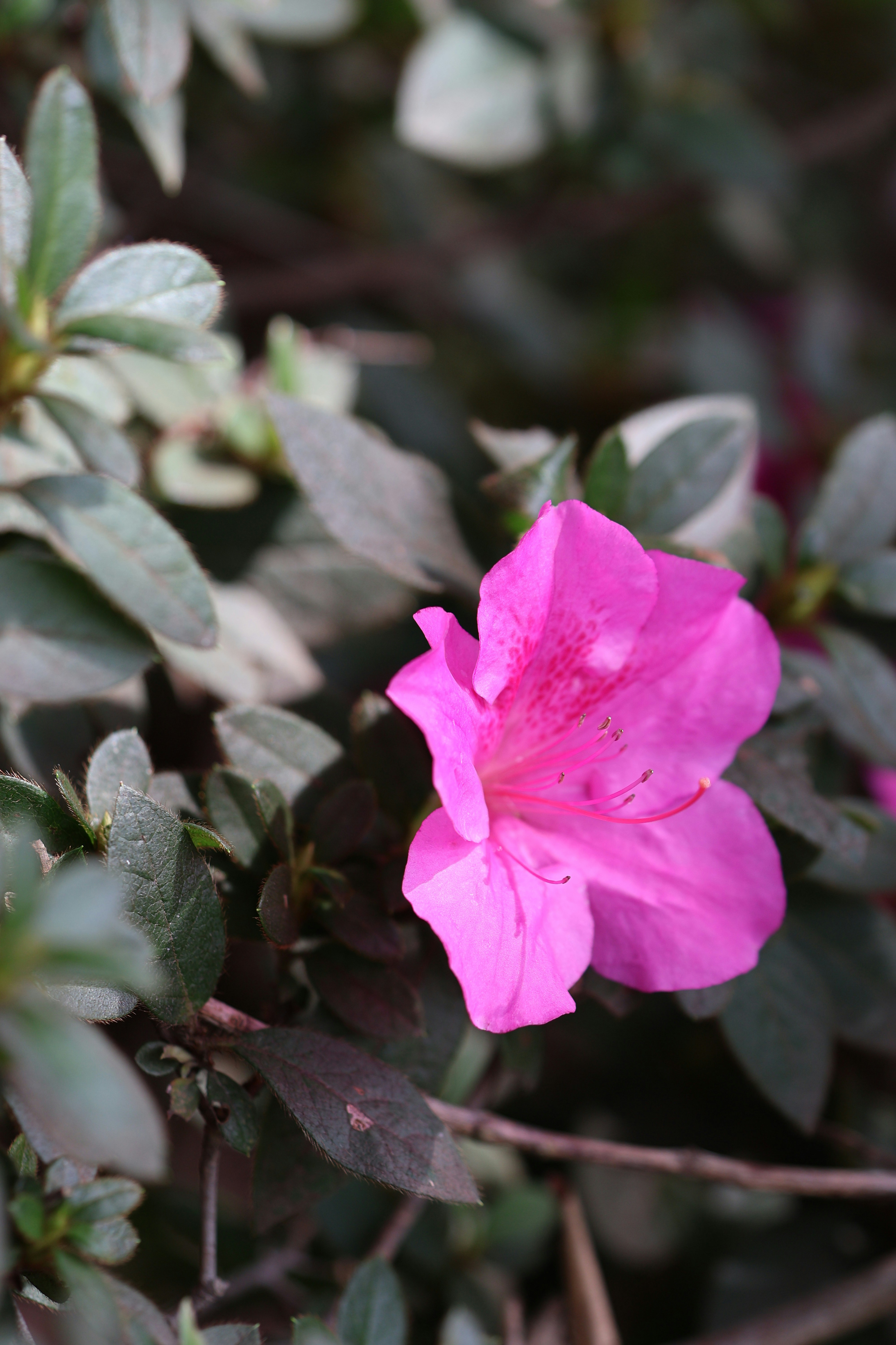 Photo by wadewinslow129