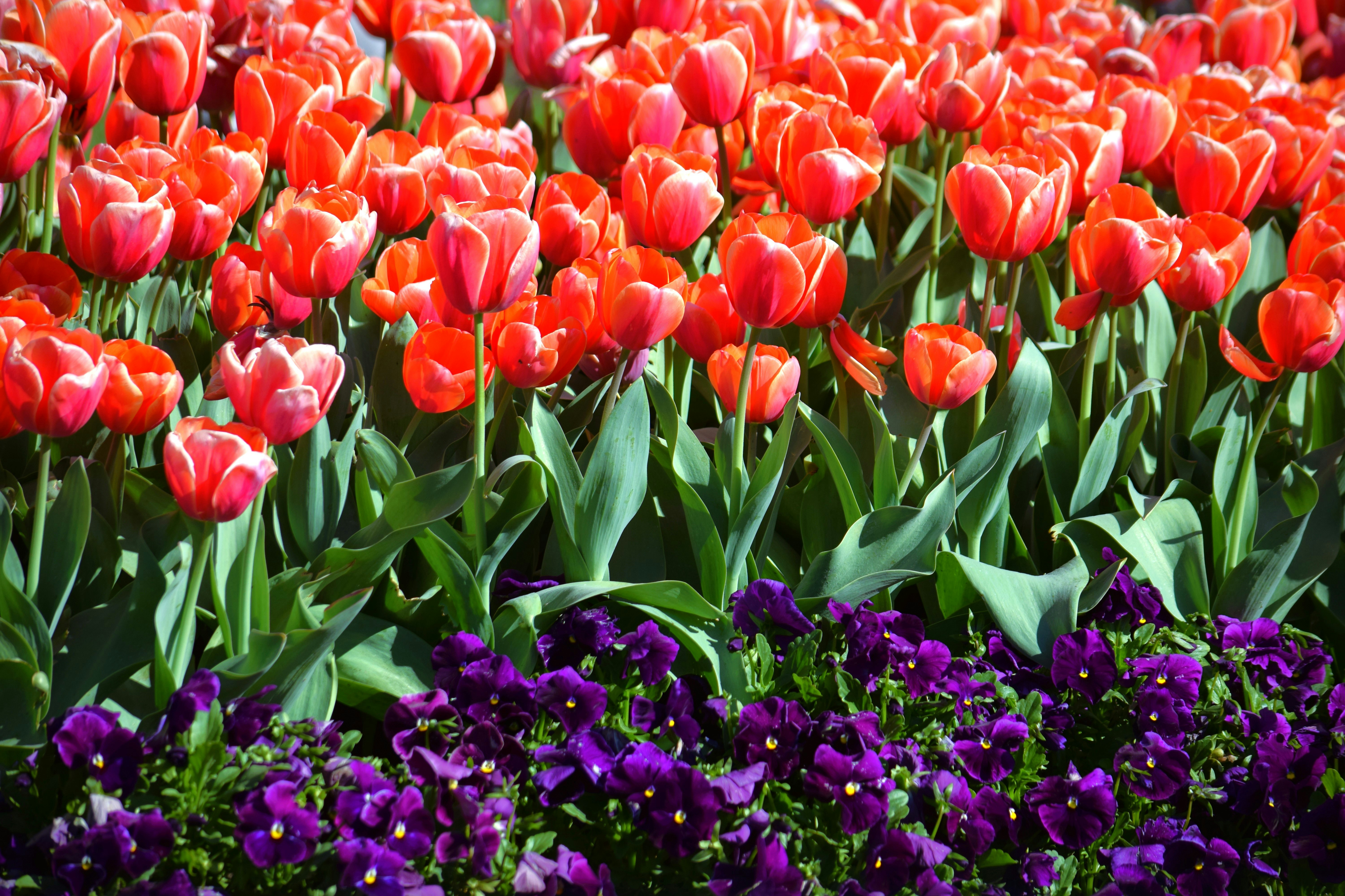 Photo by ch_photography