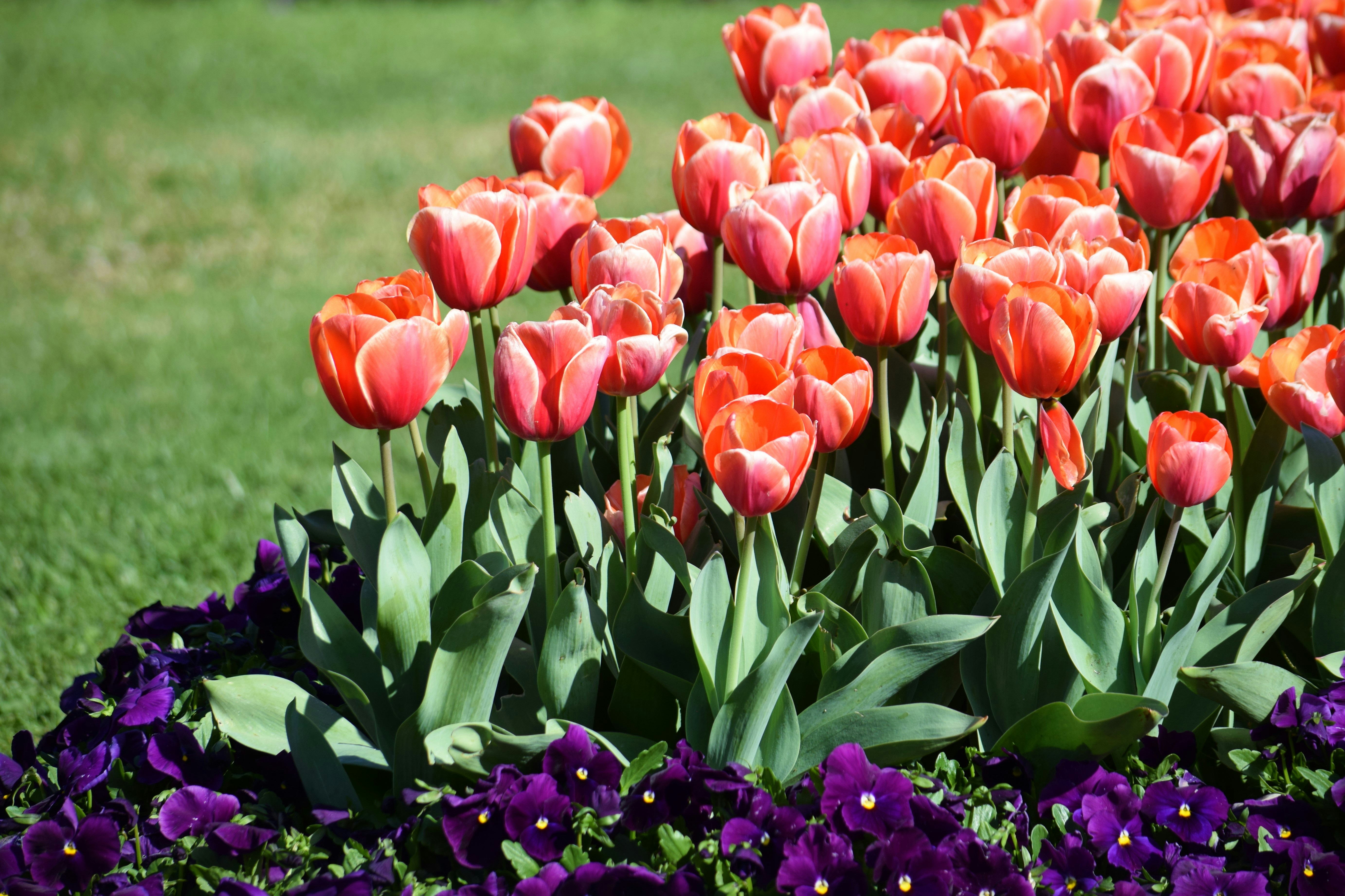 Photo by ch_photography