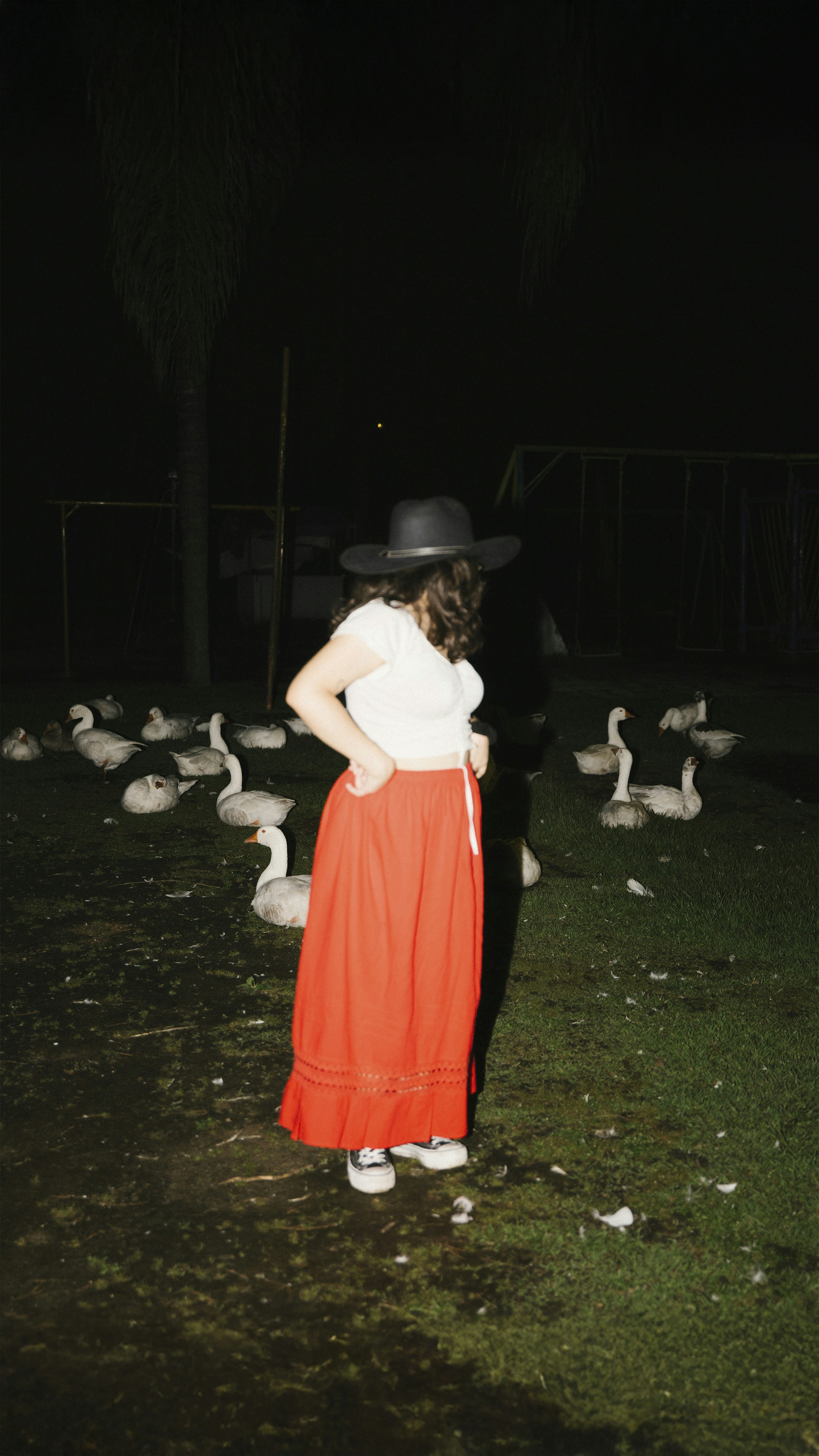 Woman in hat with geese at night