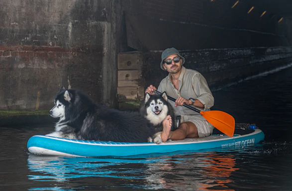 Man and two huskies on a paddleboard