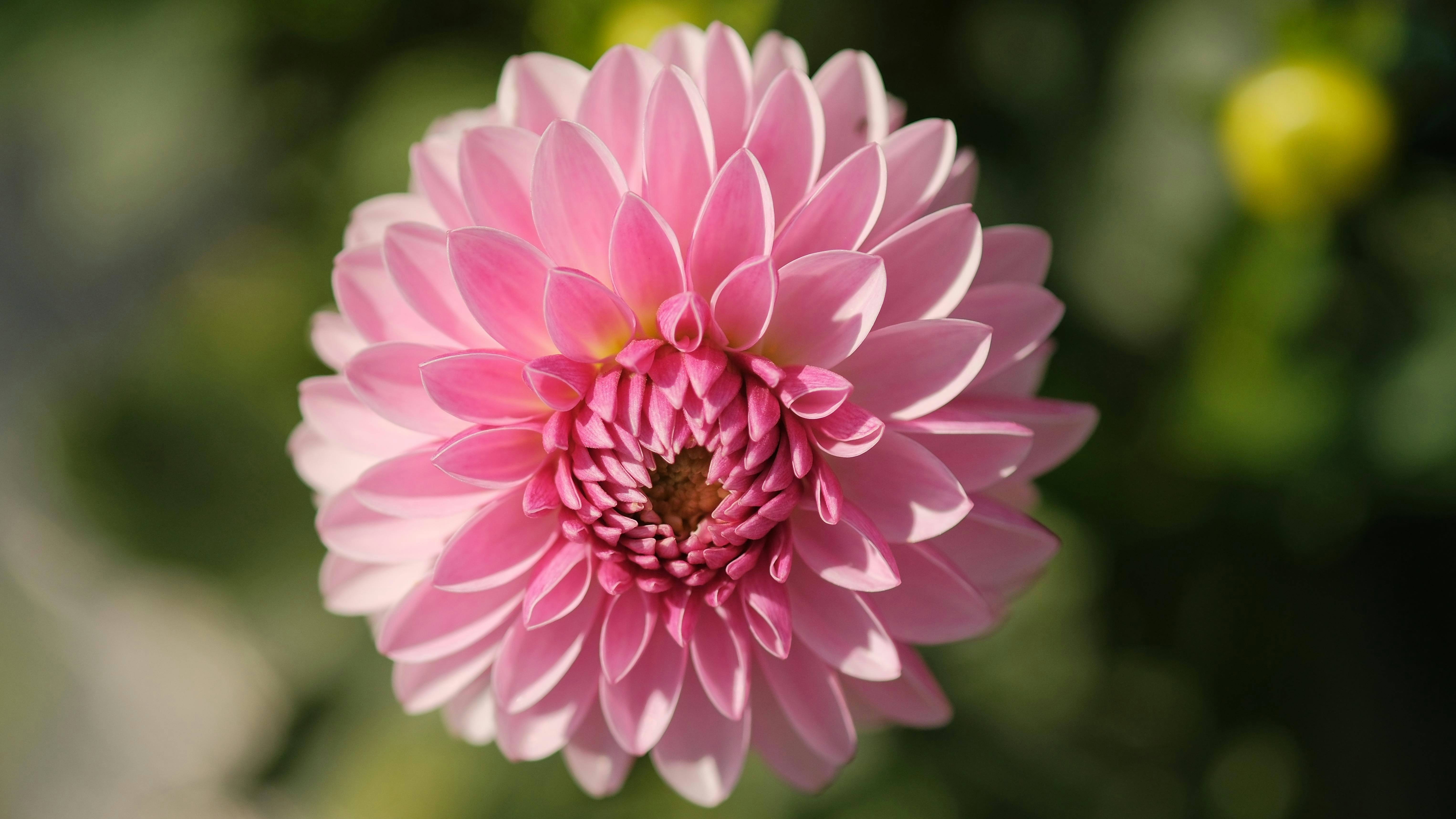 Photo by lifetimevalues