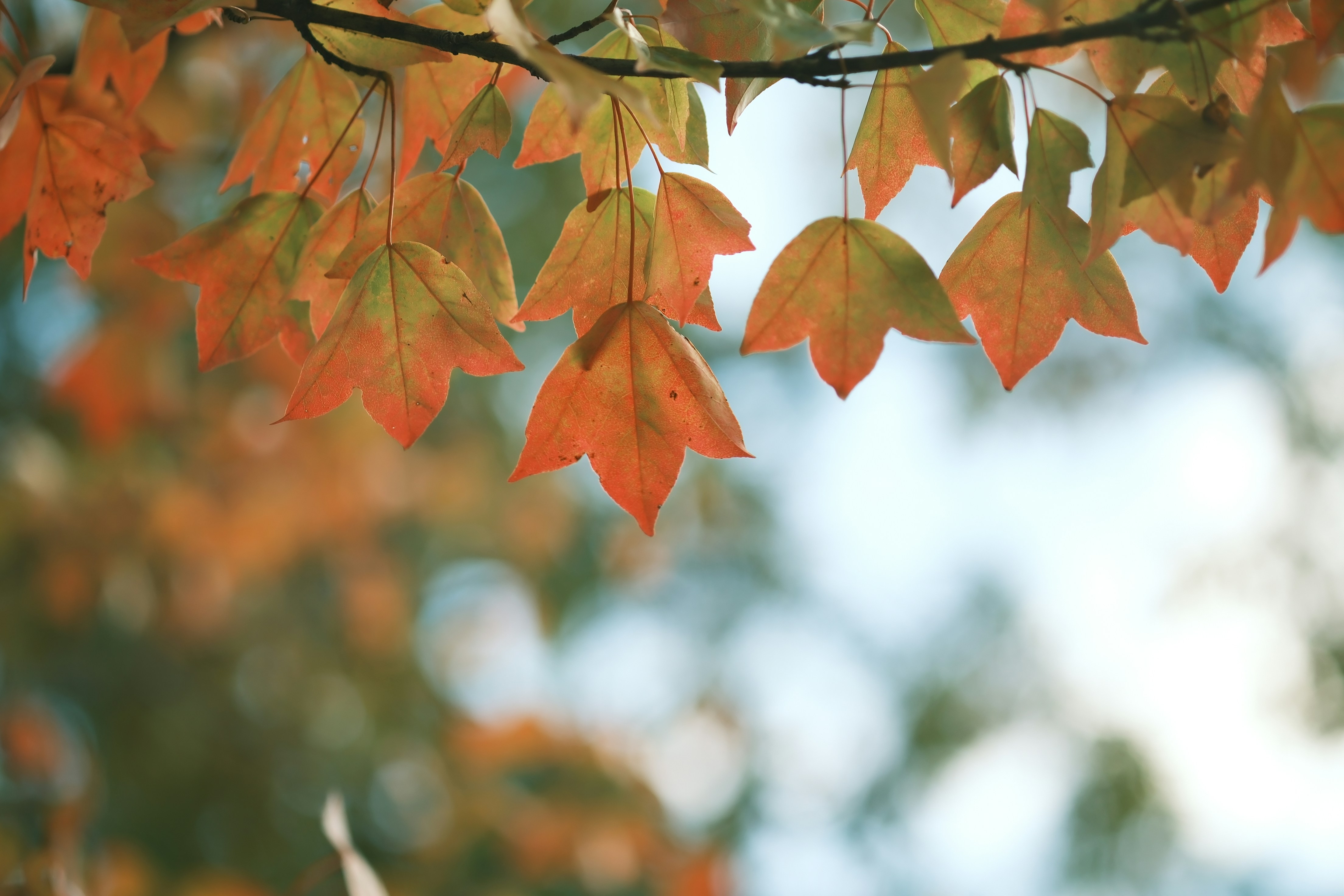 Photo by lifetimevalues