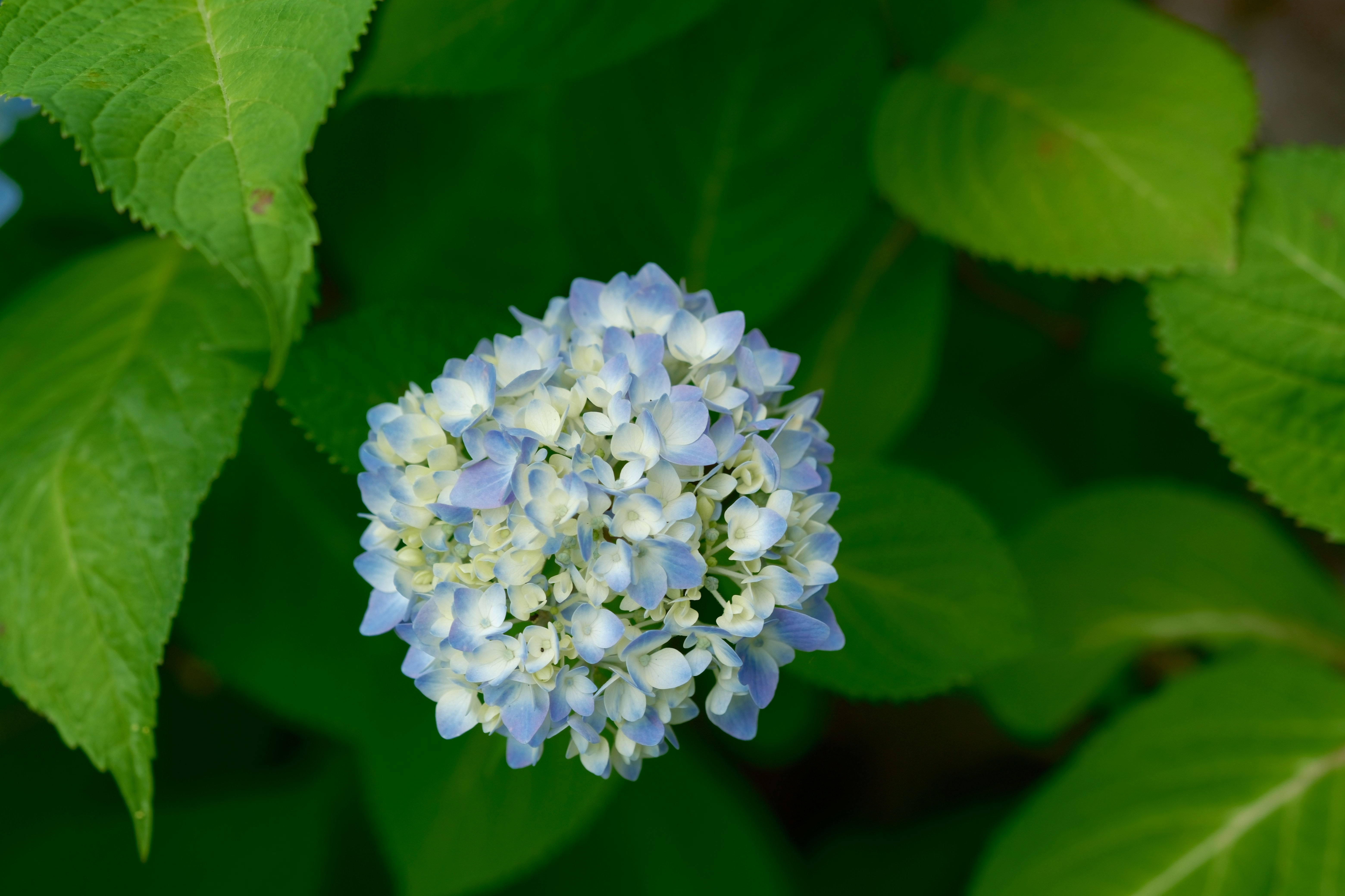 Photo by lifetimevalues