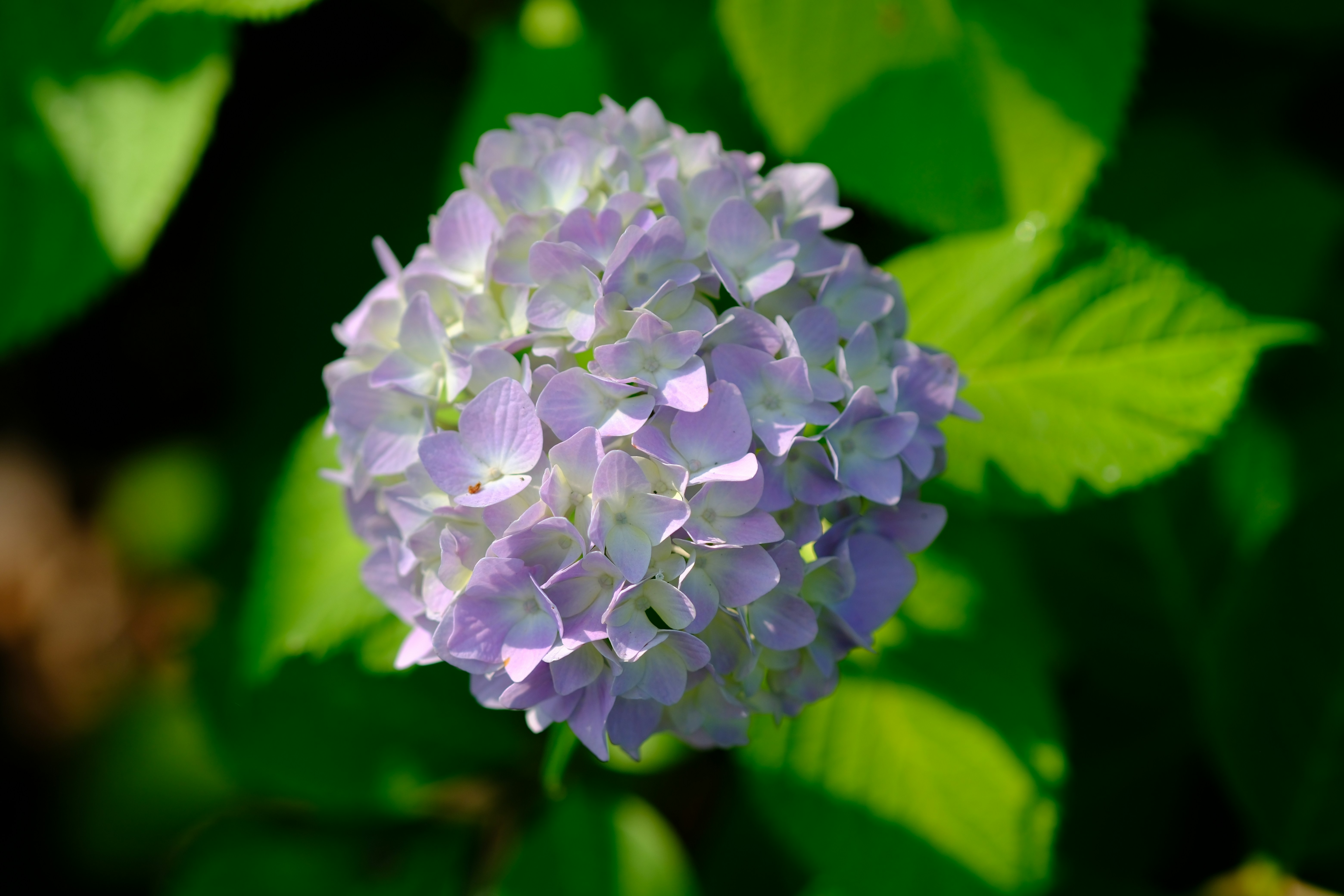 Photo by lifetimevalues