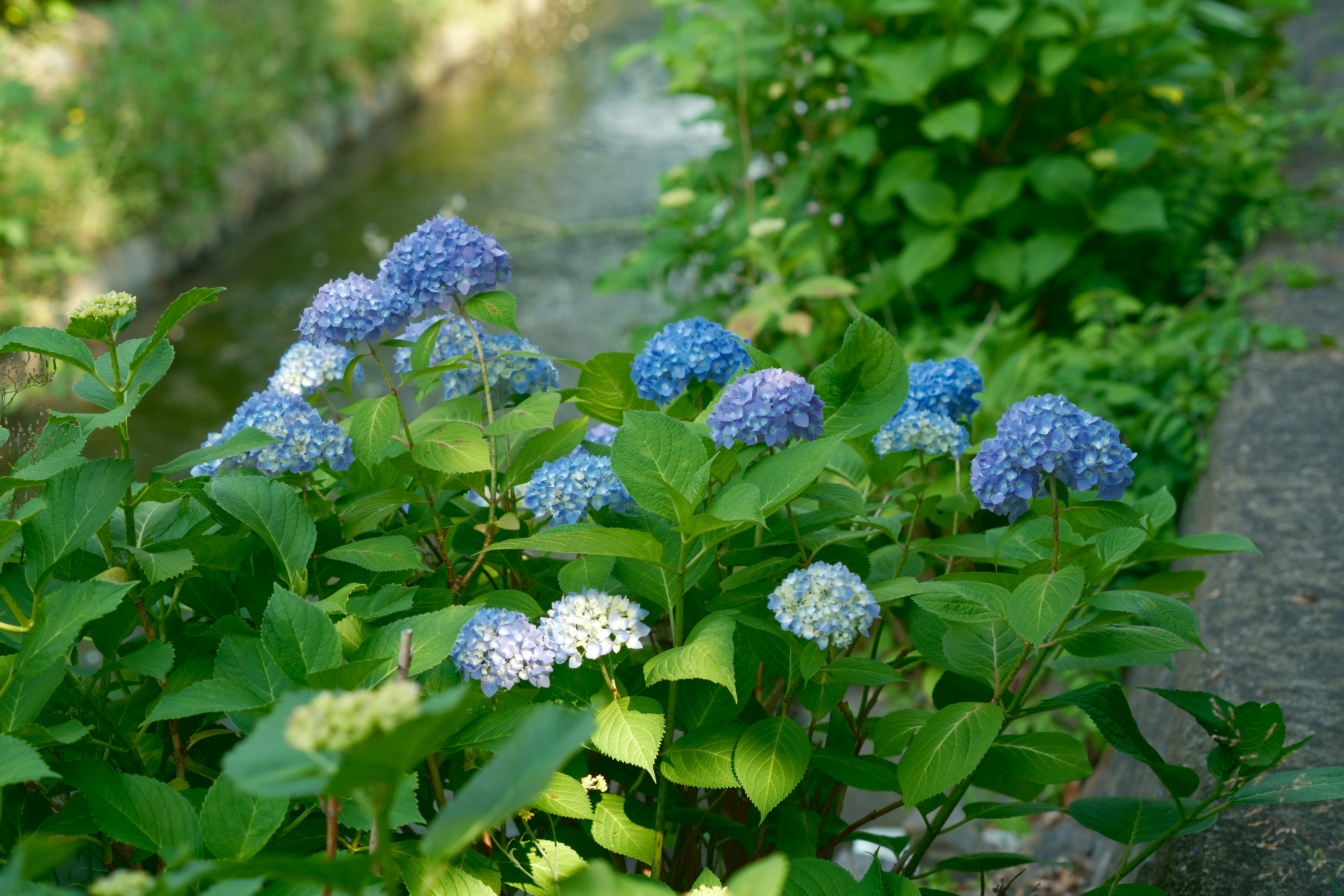 Photo by lifetimevalues