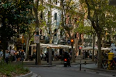 Street scene with trees, buildings, and outdoor seating.