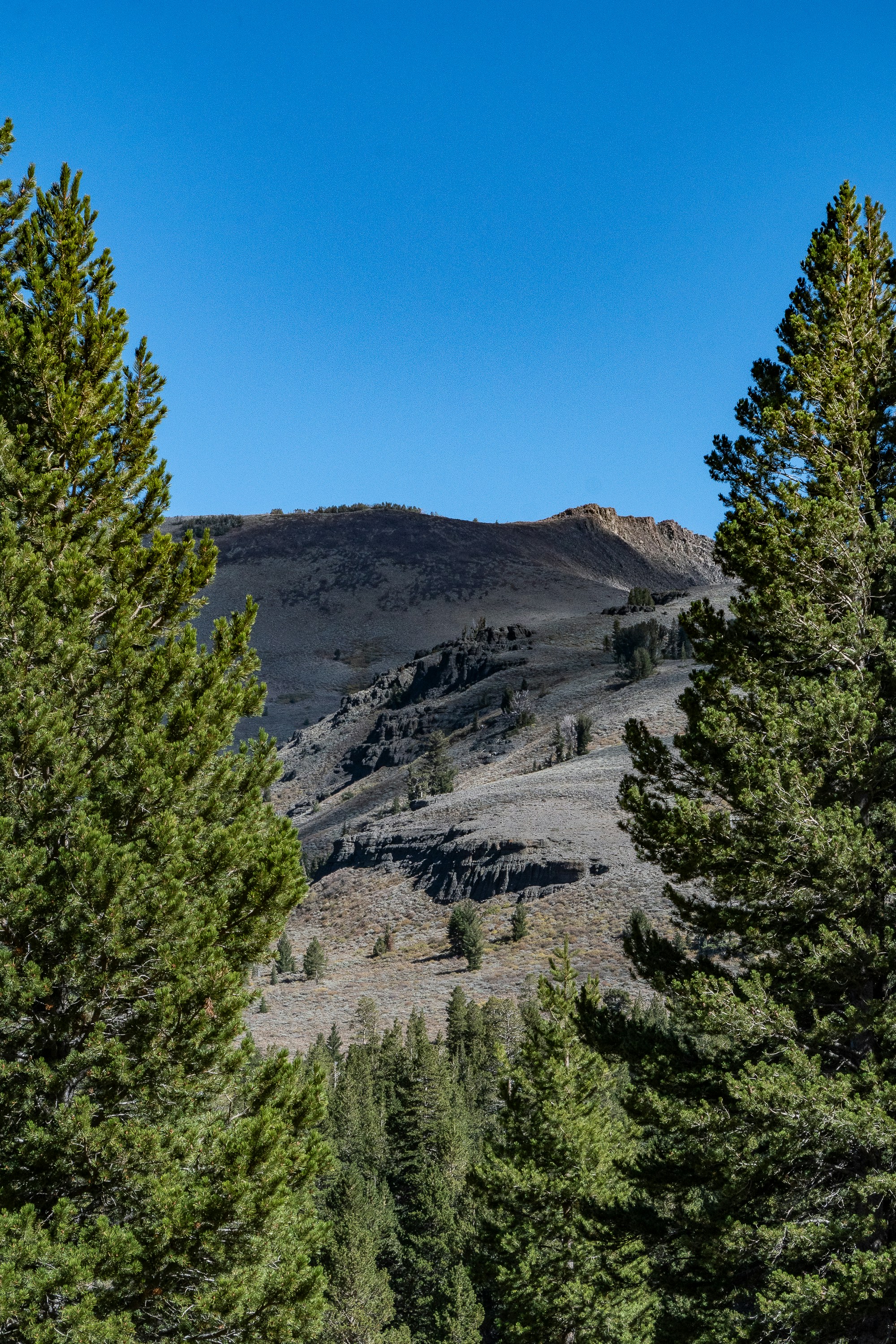 Photo by joeldurkee