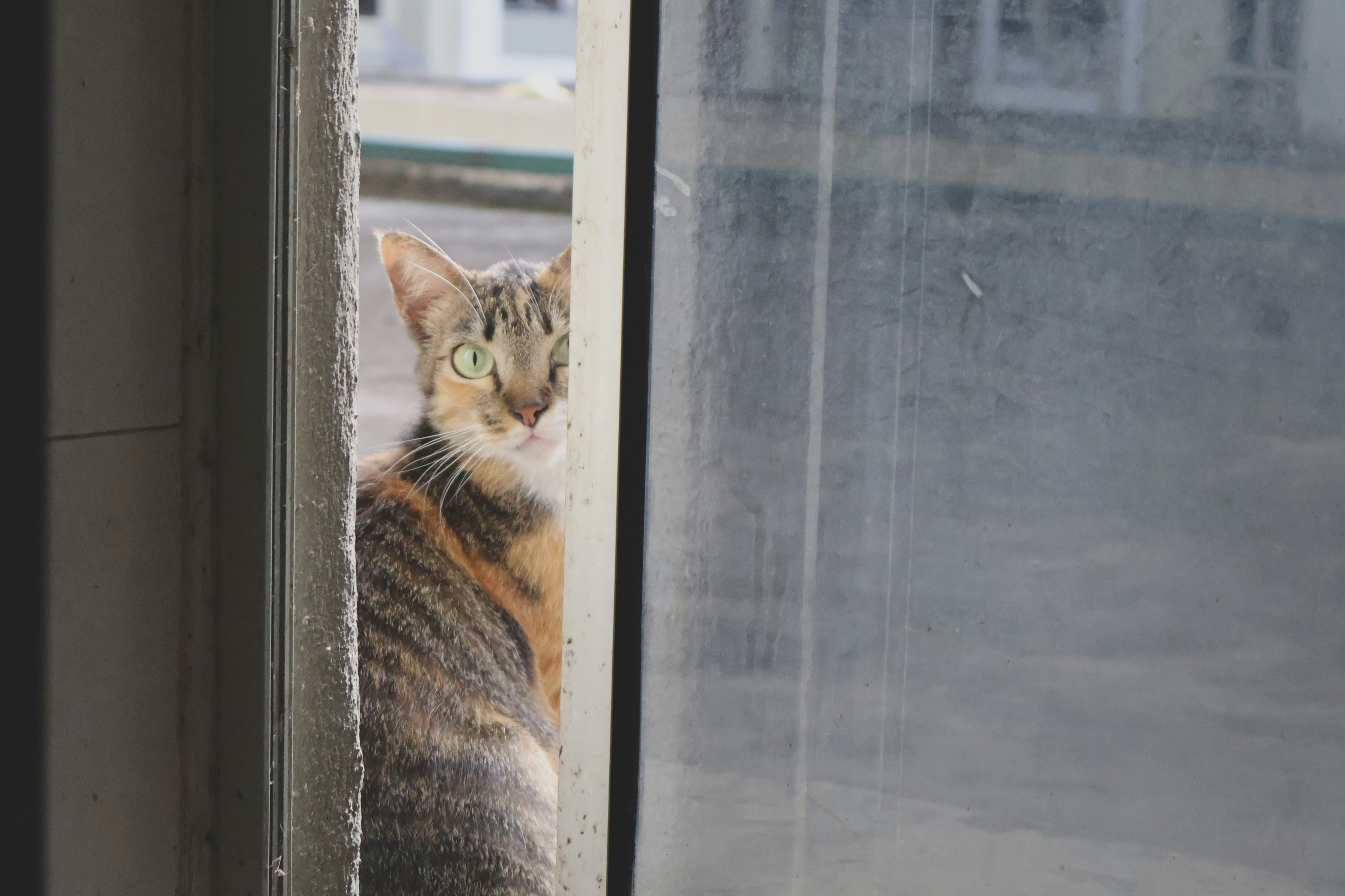 Photo by bywindahlimbai