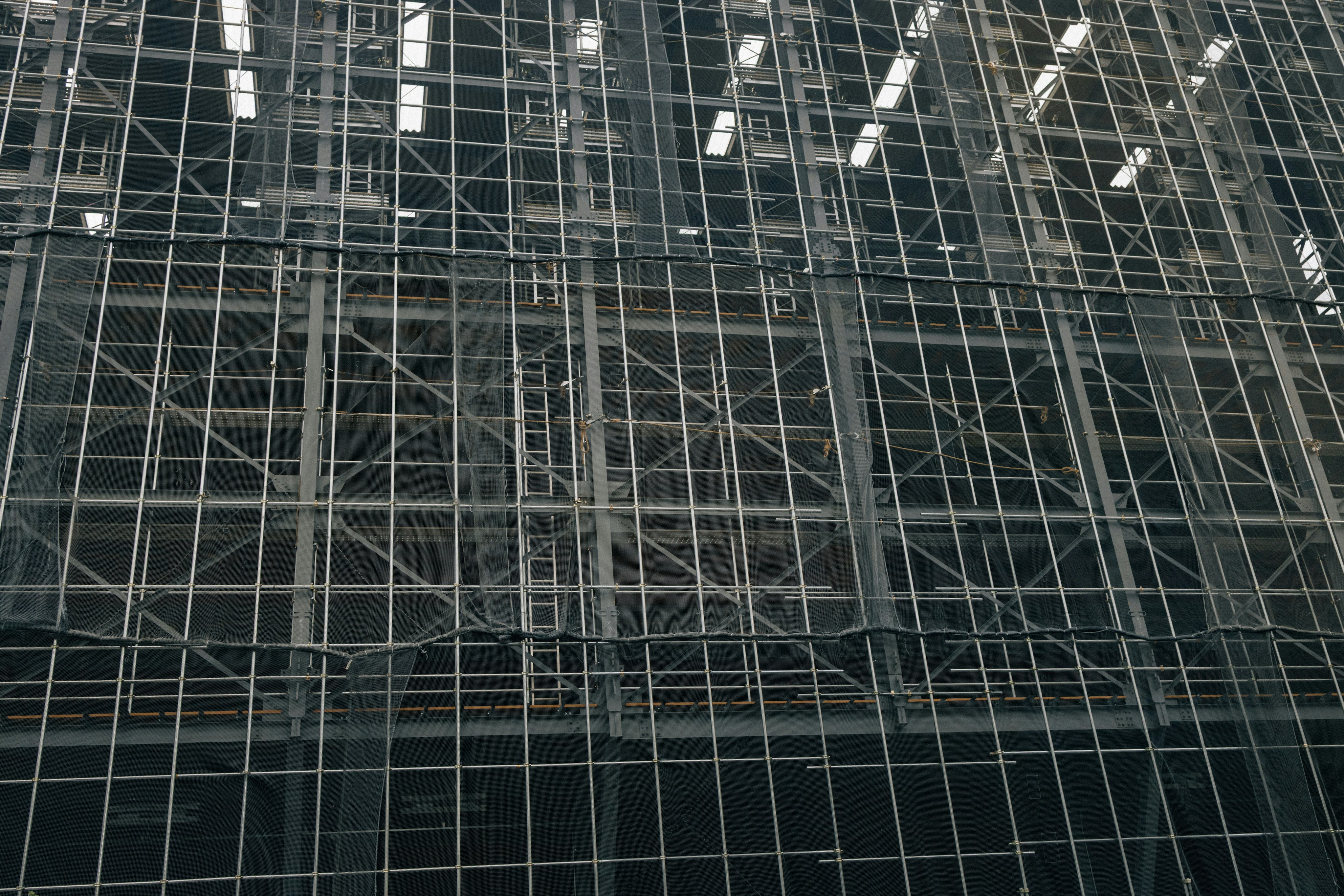 Photo by tsuyoshikozu