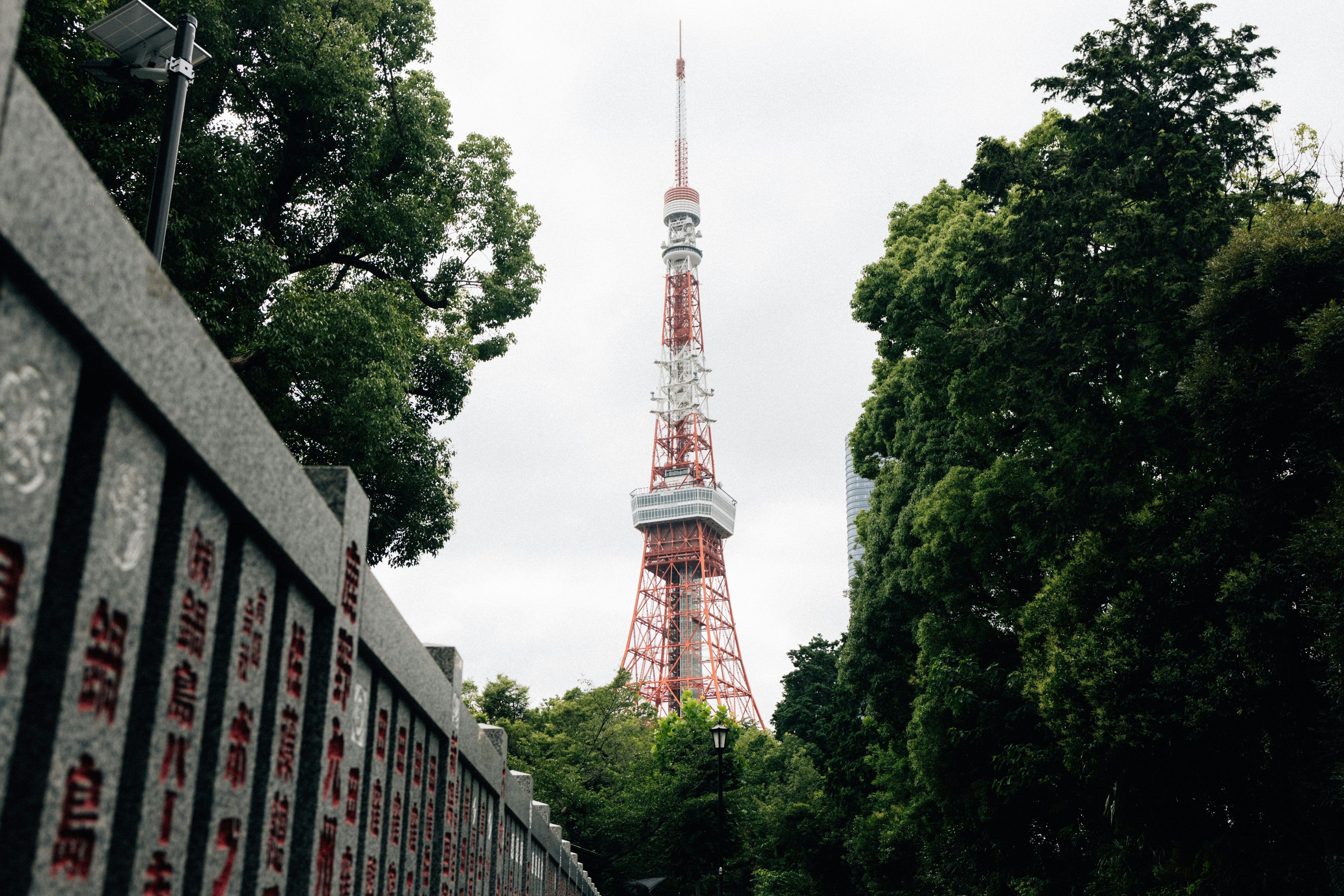 Tokyo tower framed by trees and a stone wall.