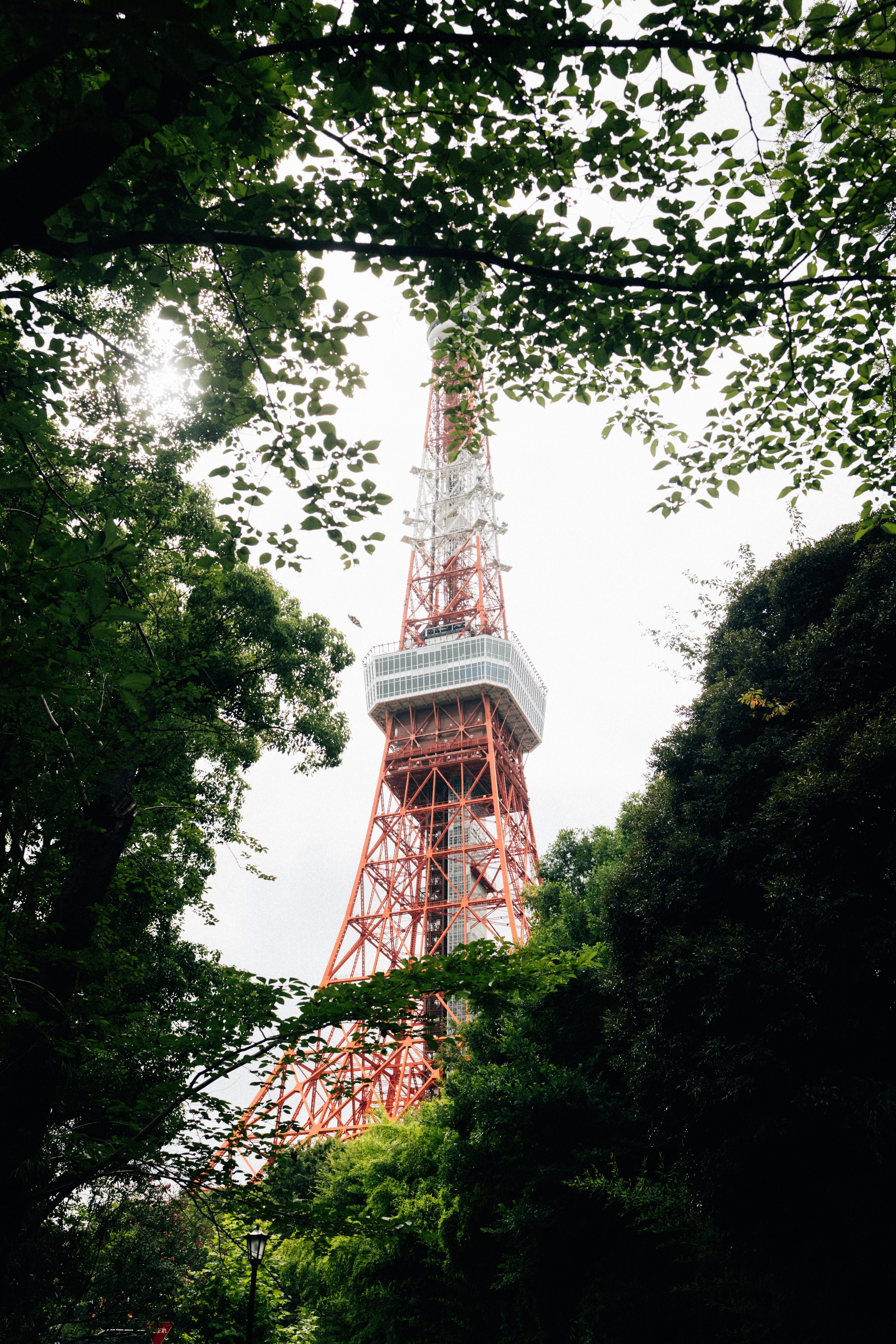 Photo by tsuyoshikozu