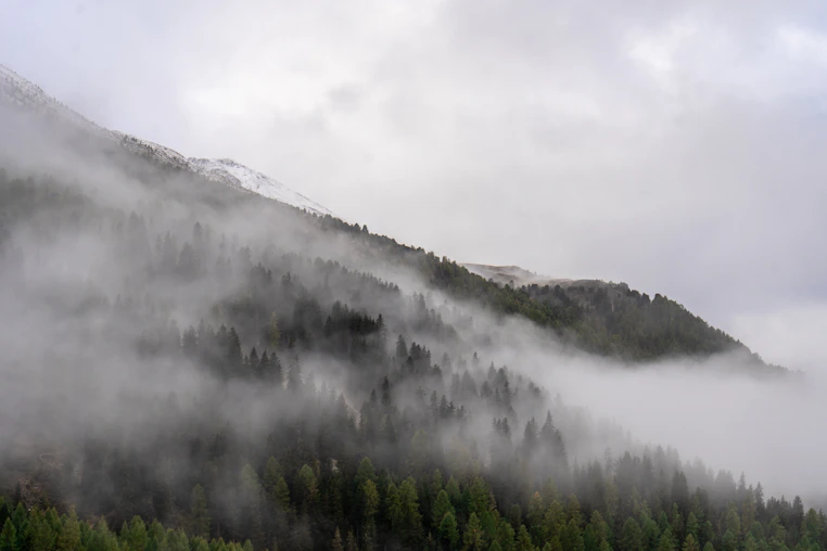 Misty forest on a cloudy mountain slope