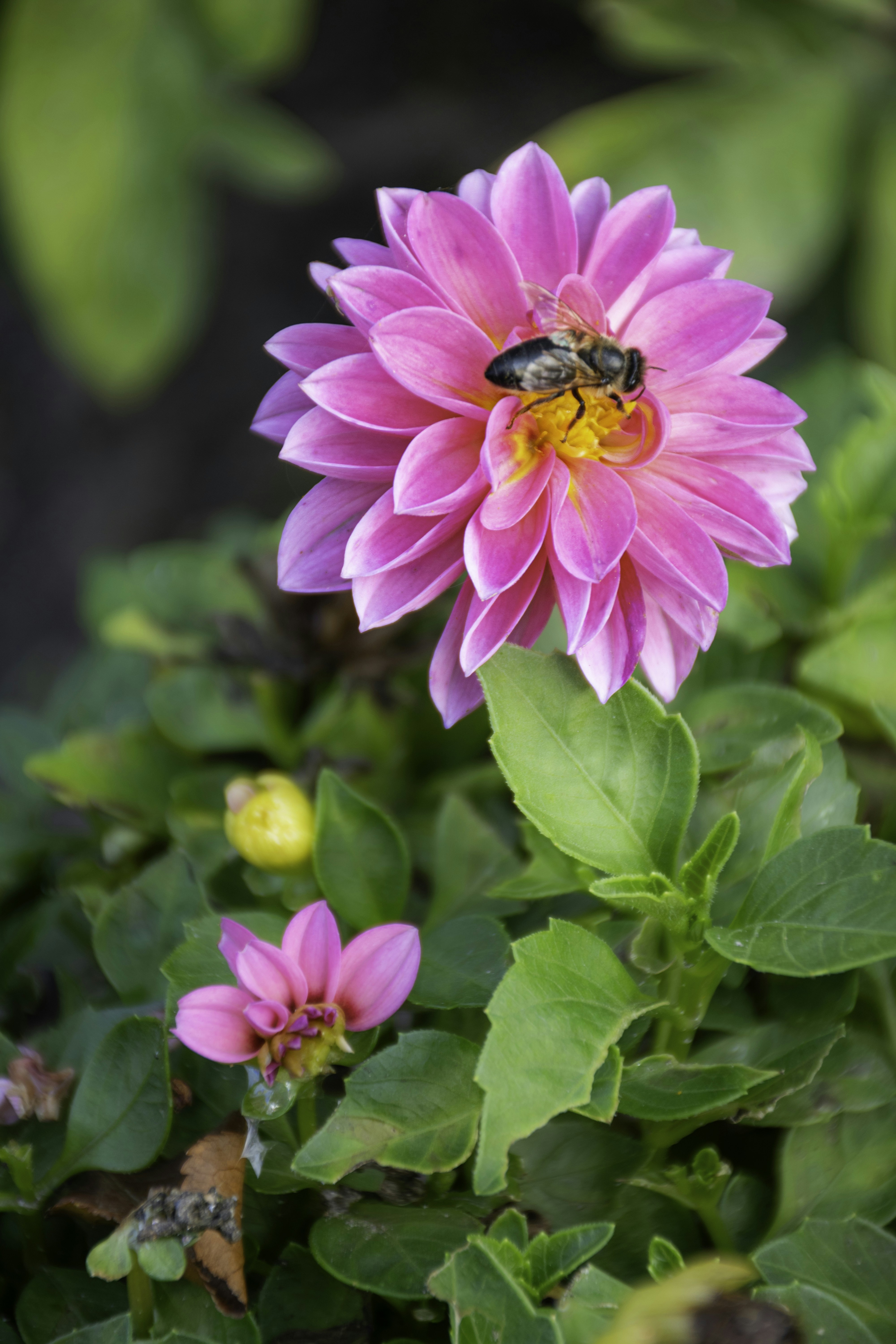 Photo by adam_skrinnikoff