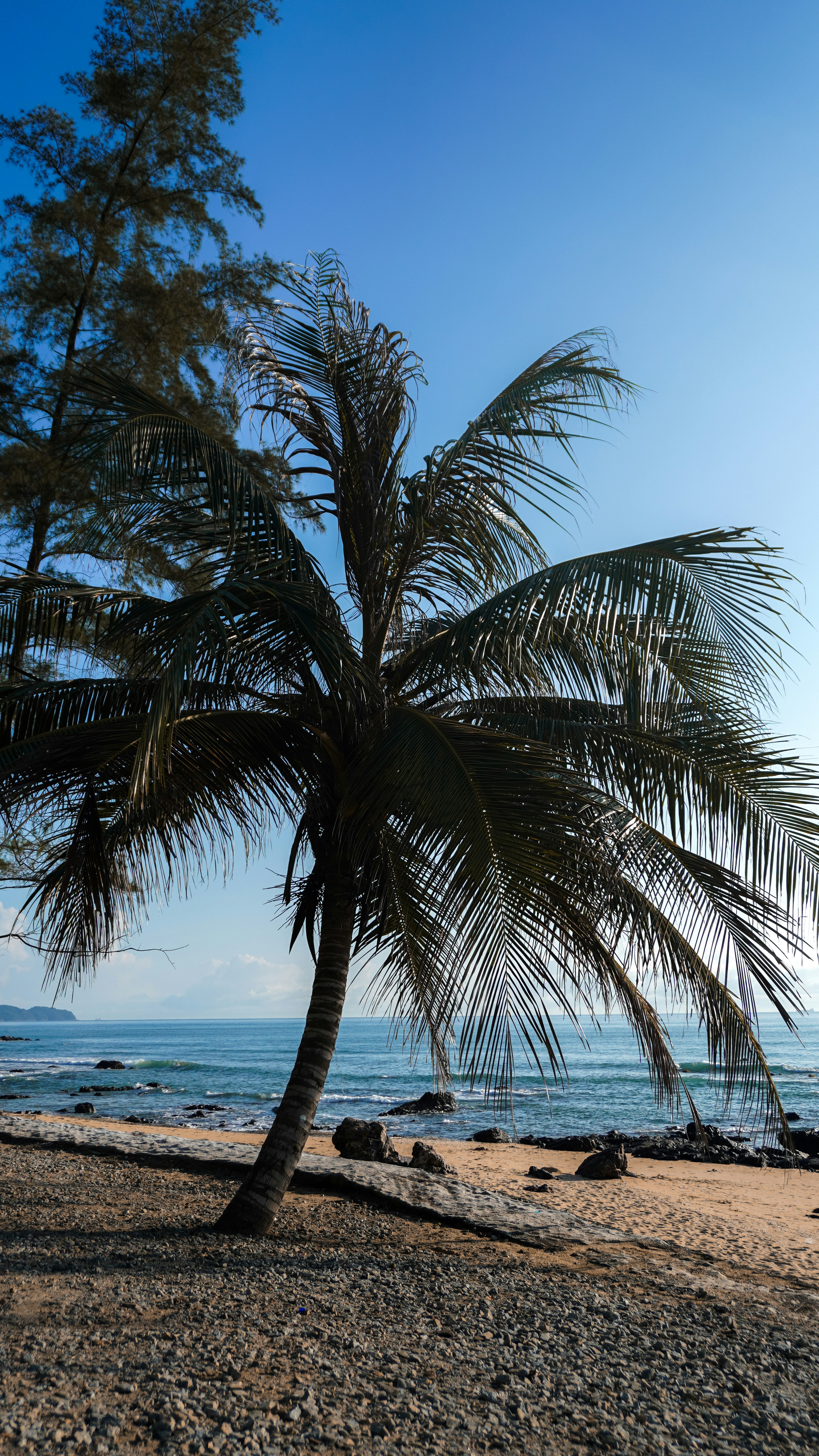 Photo by izzatisyamimi