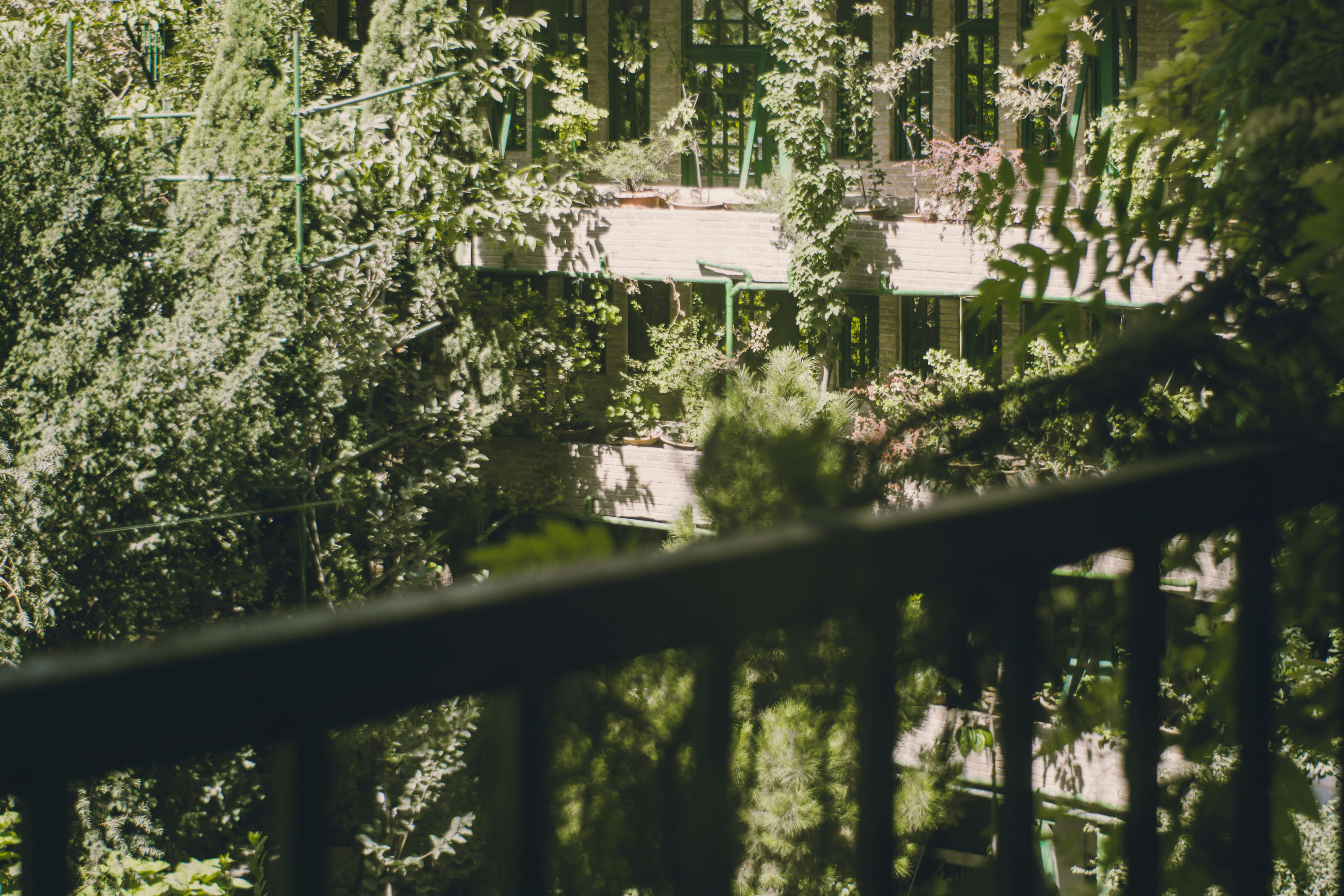 T3 balcony with garden view