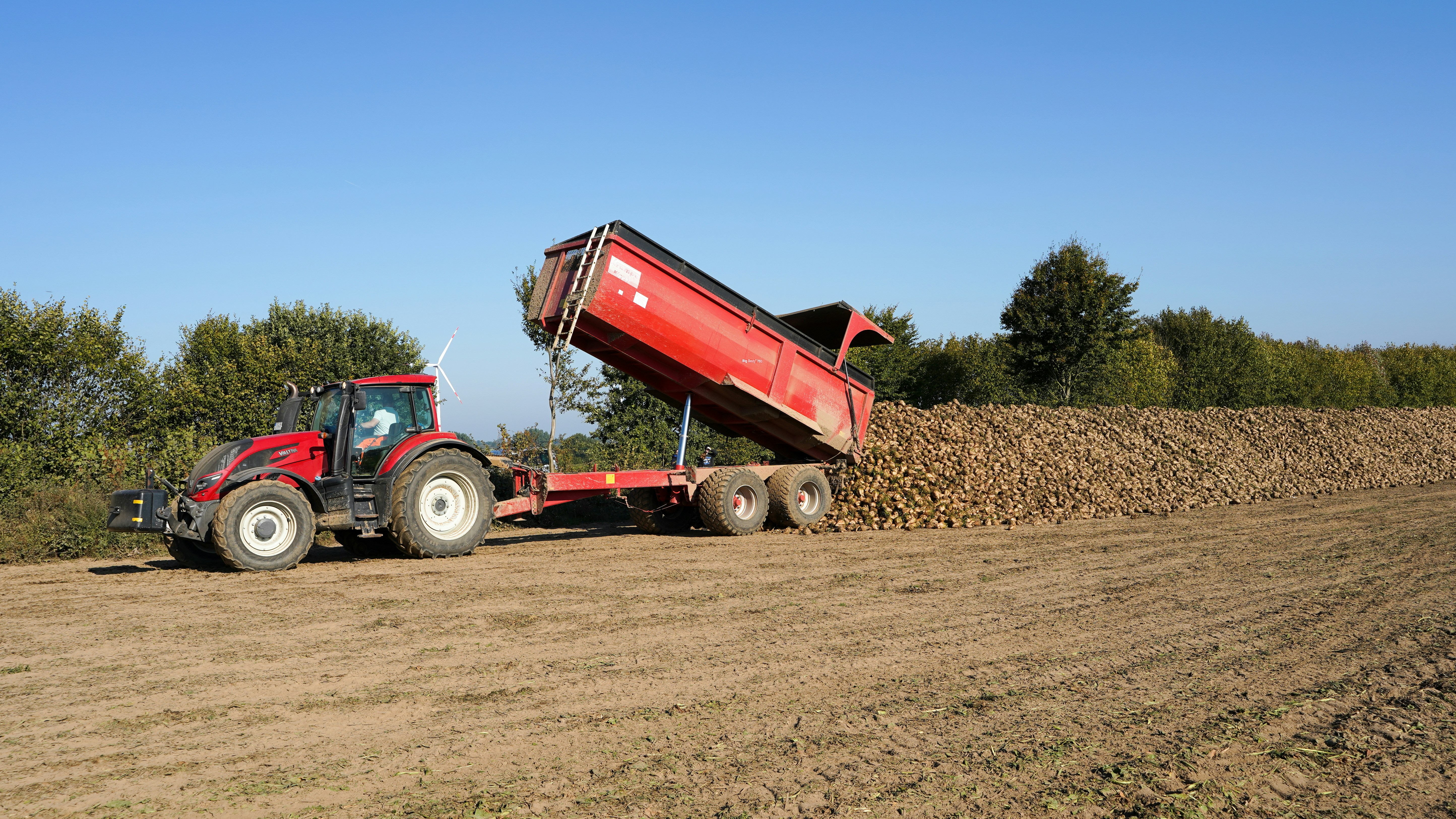 Photo by hamburgmeinefreundin