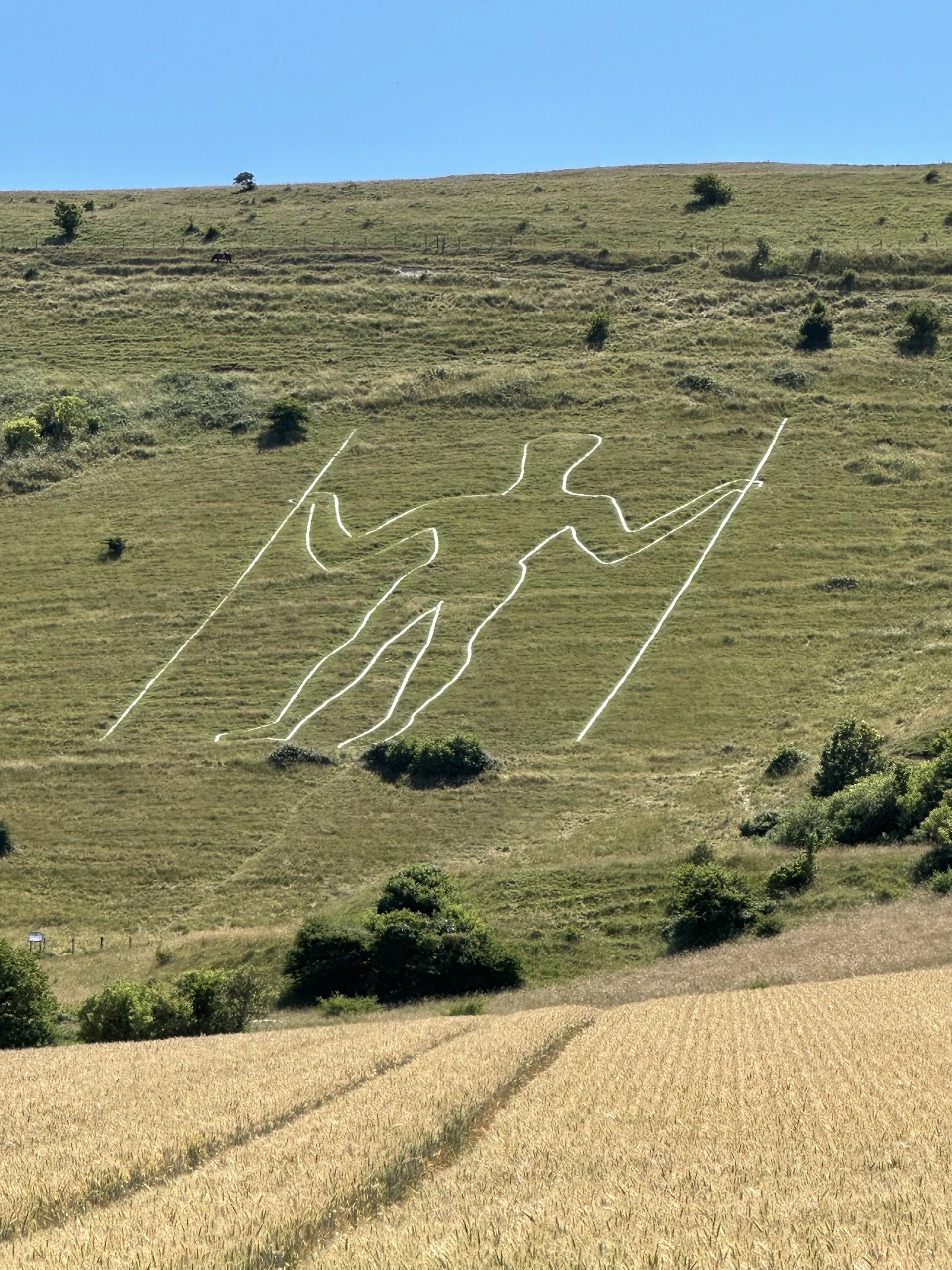 White horse figure carved into grassy hillside