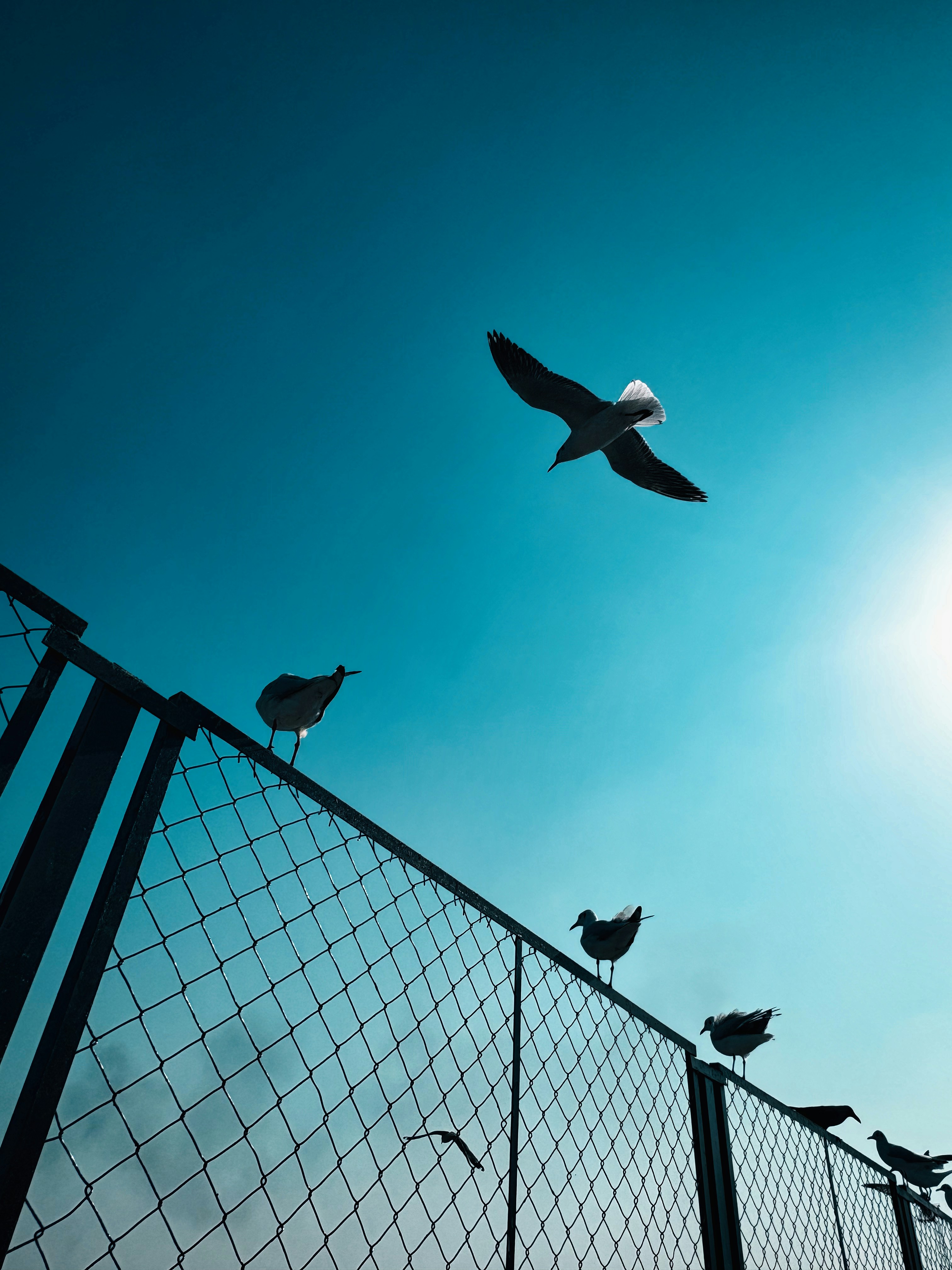 Photo by palak_pitroda