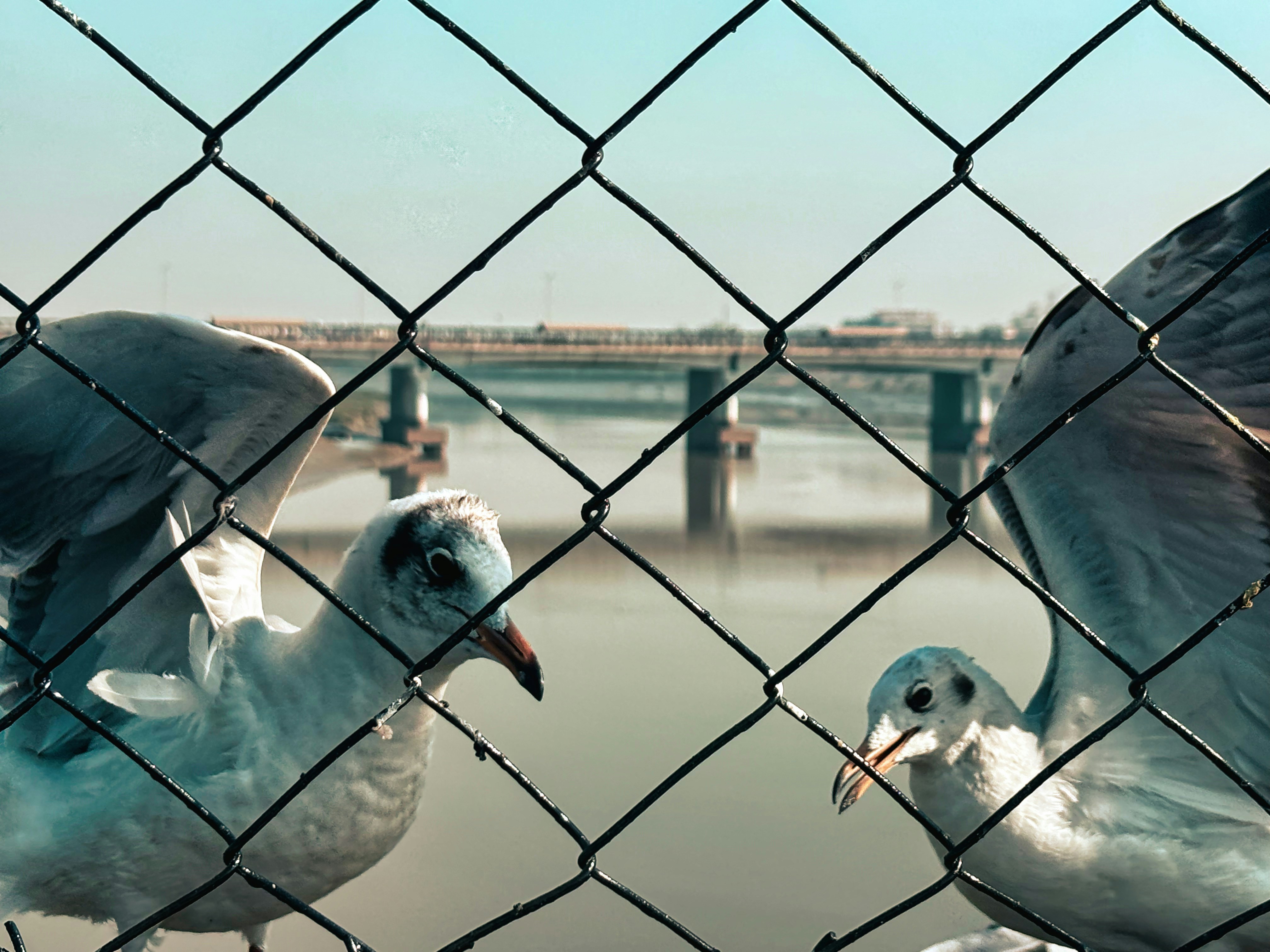 Photo by palak_pitroda