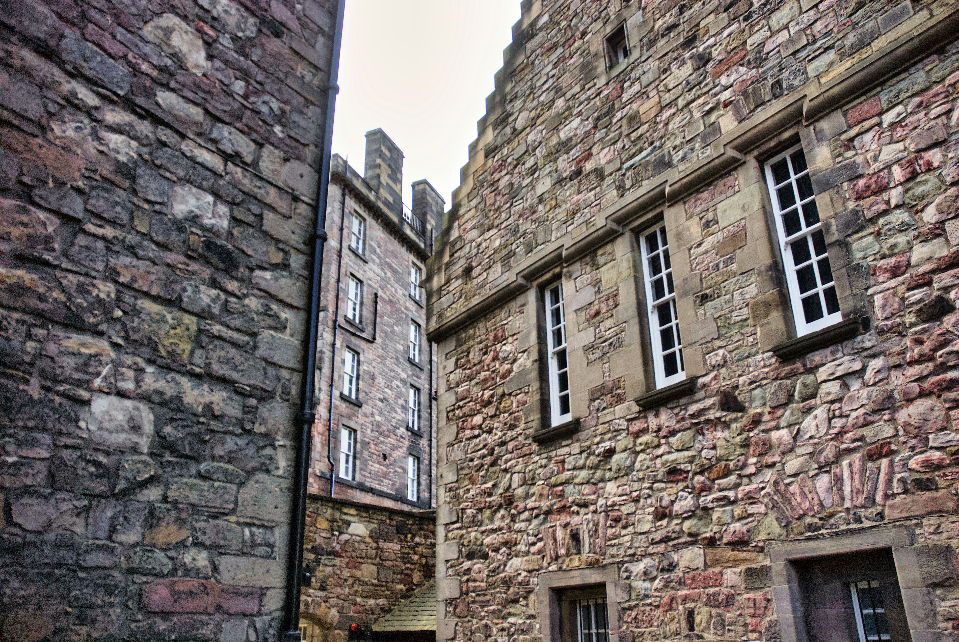 Photo by paws_and_prints