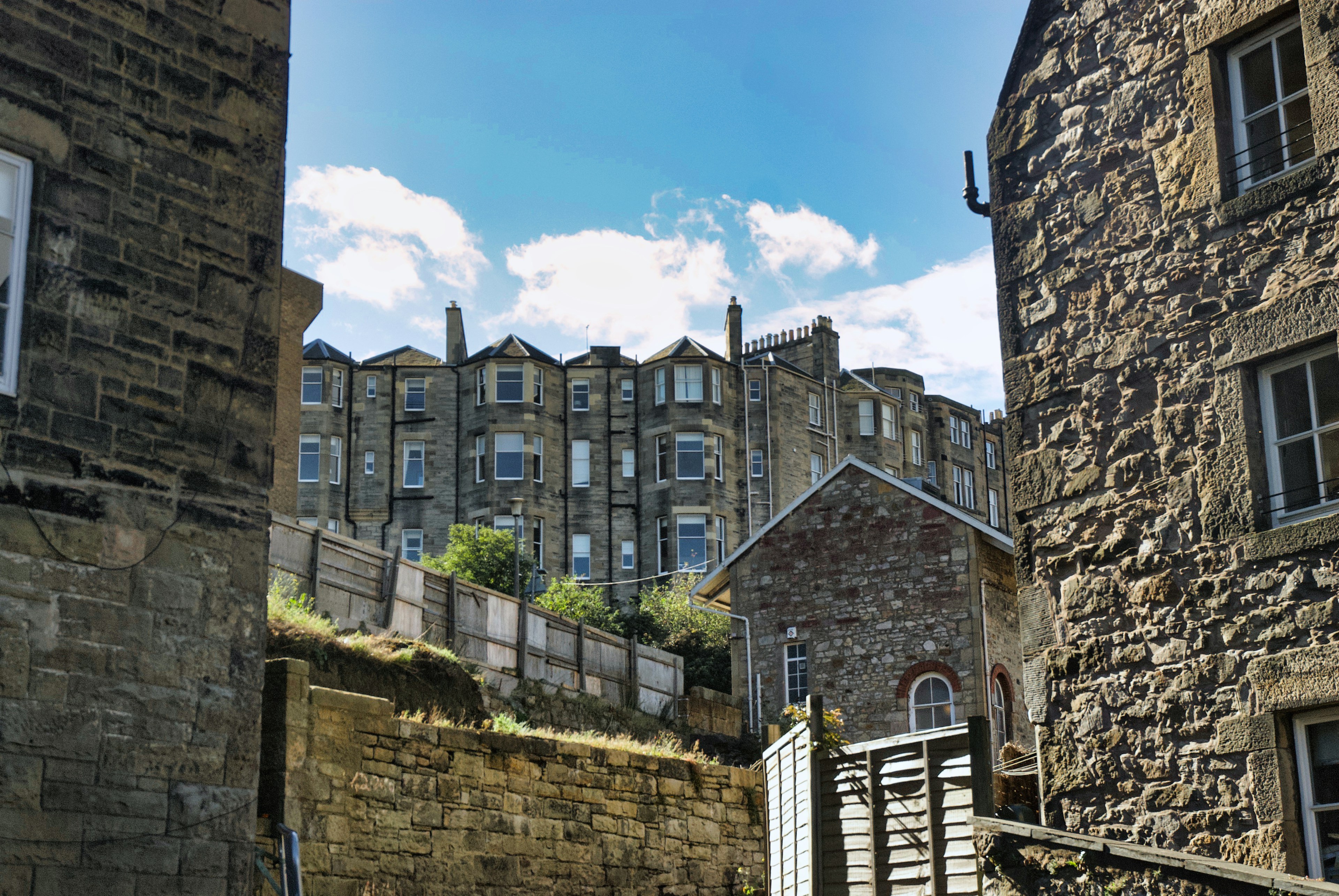 Photo by paws_and_prints