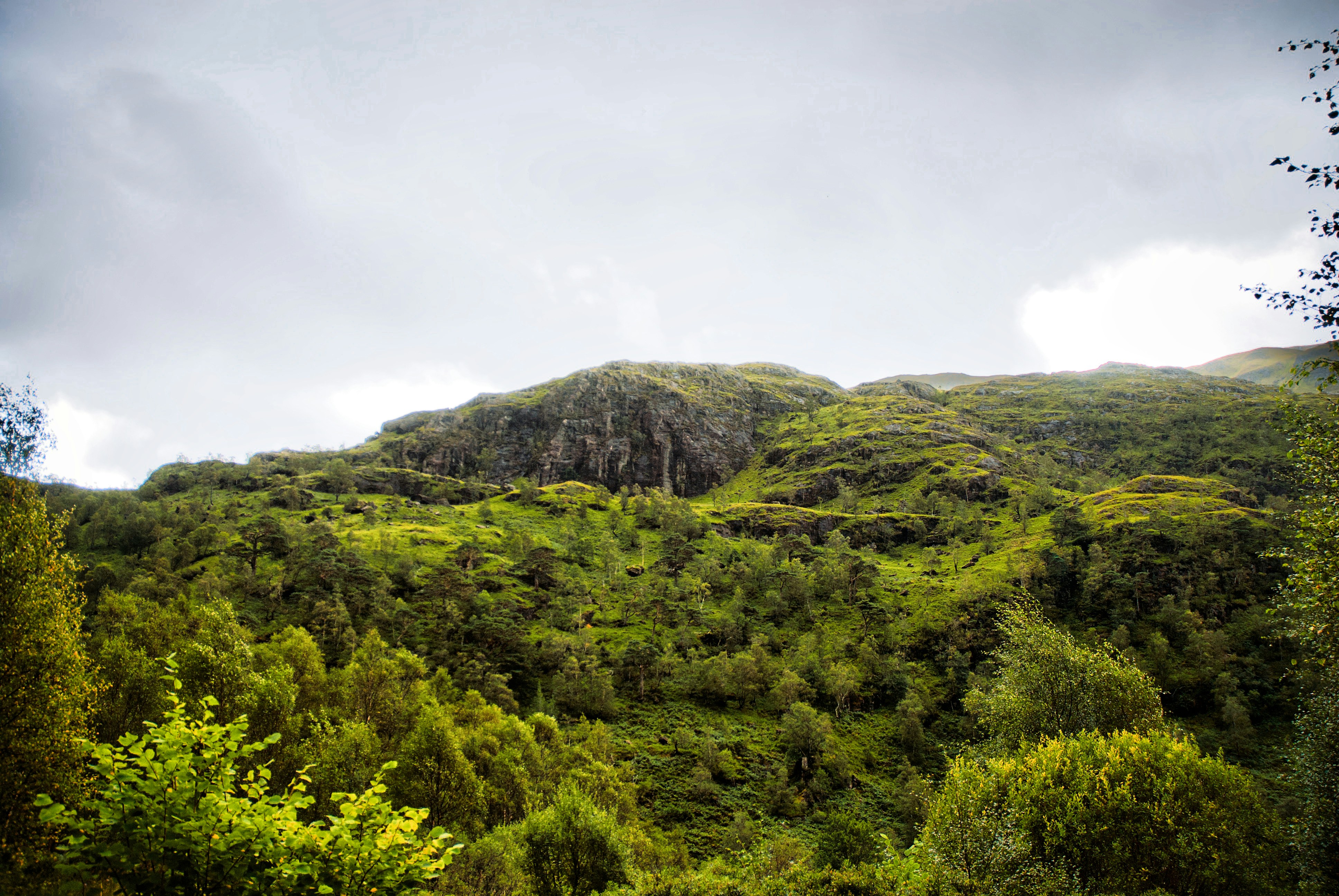 Photo by paws_and_prints