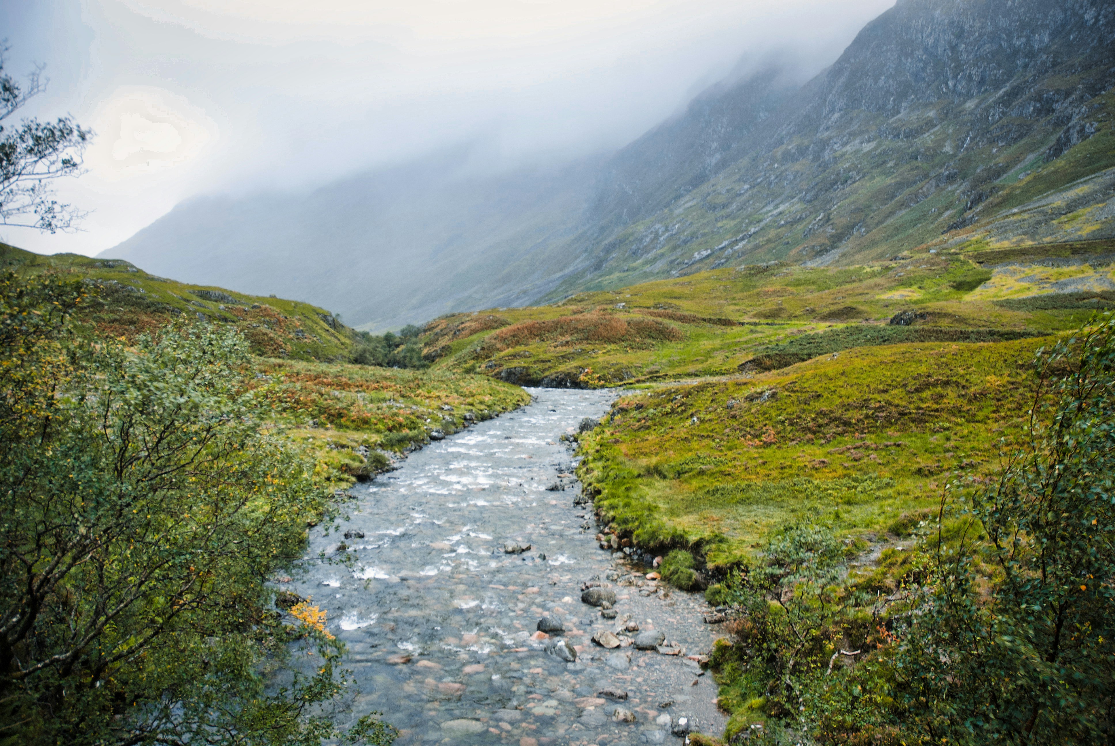 Photo by paws_and_prints