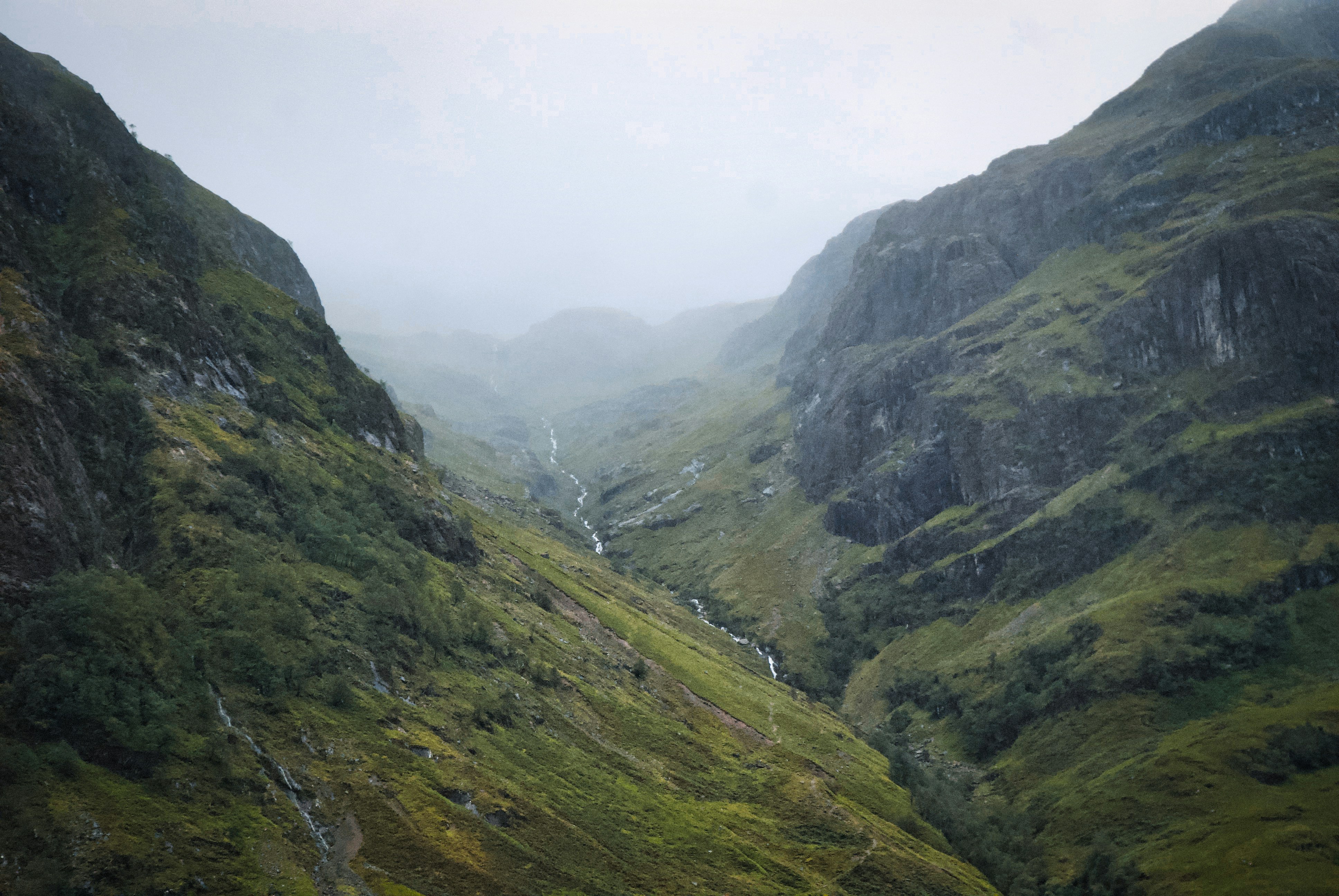 Photo by paws_and_prints