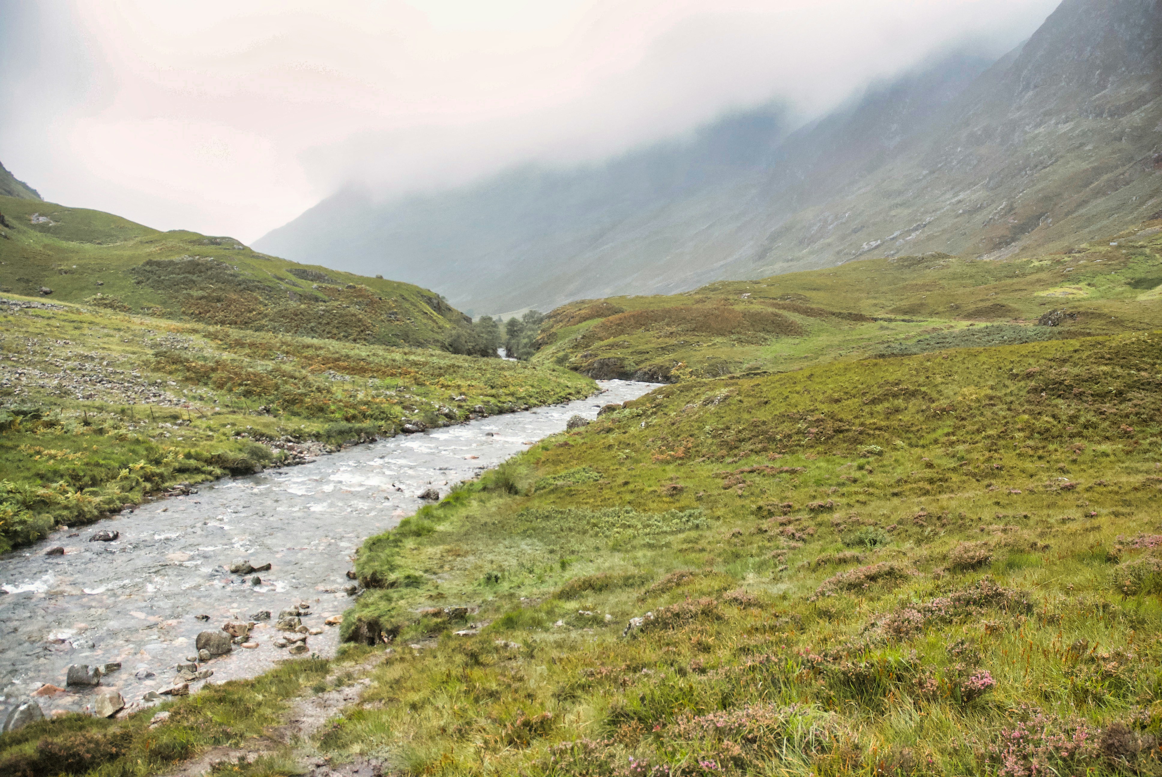 Photo by paws_and_prints