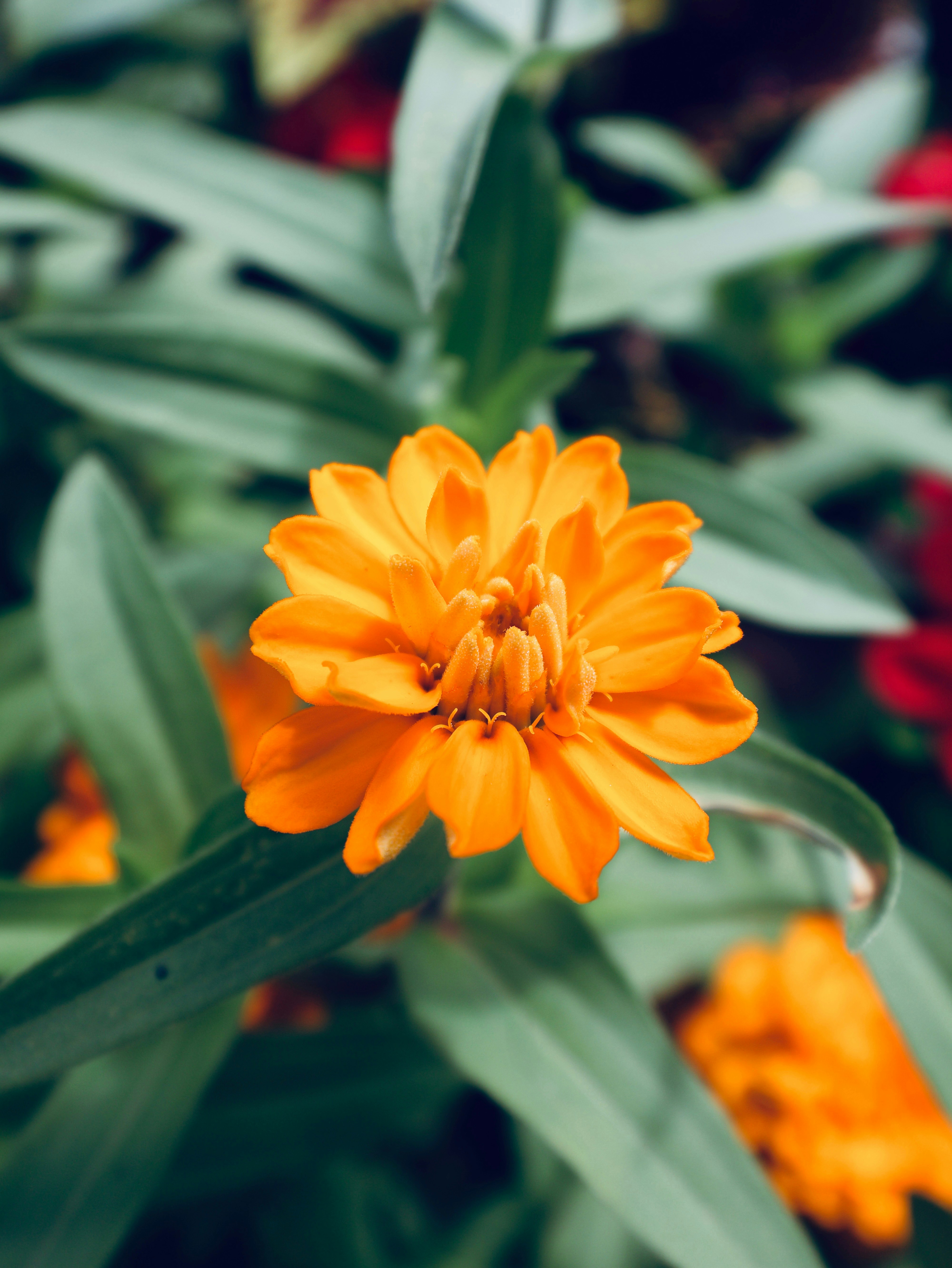 Photo by benjamin192