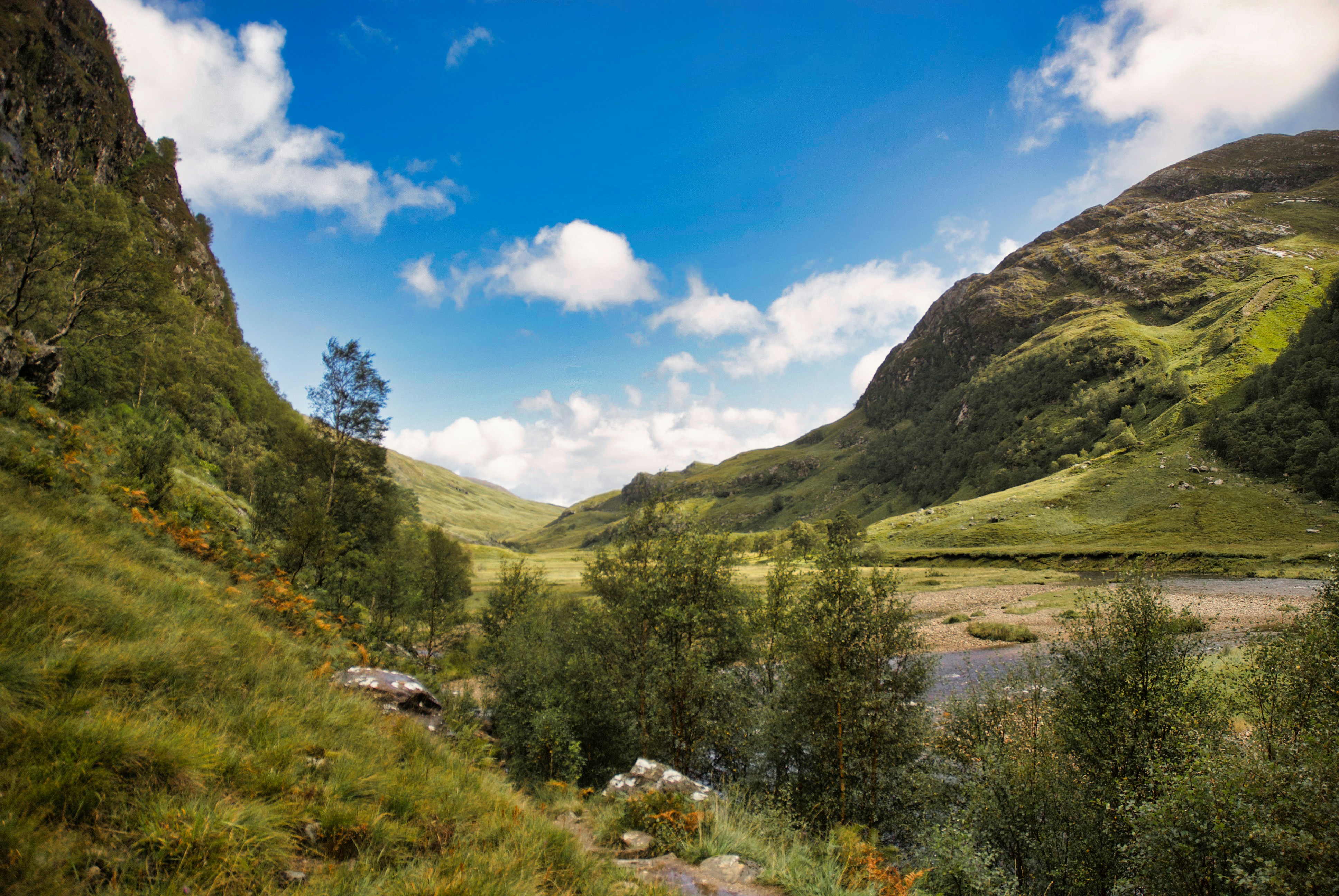 Photo by paws_and_prints