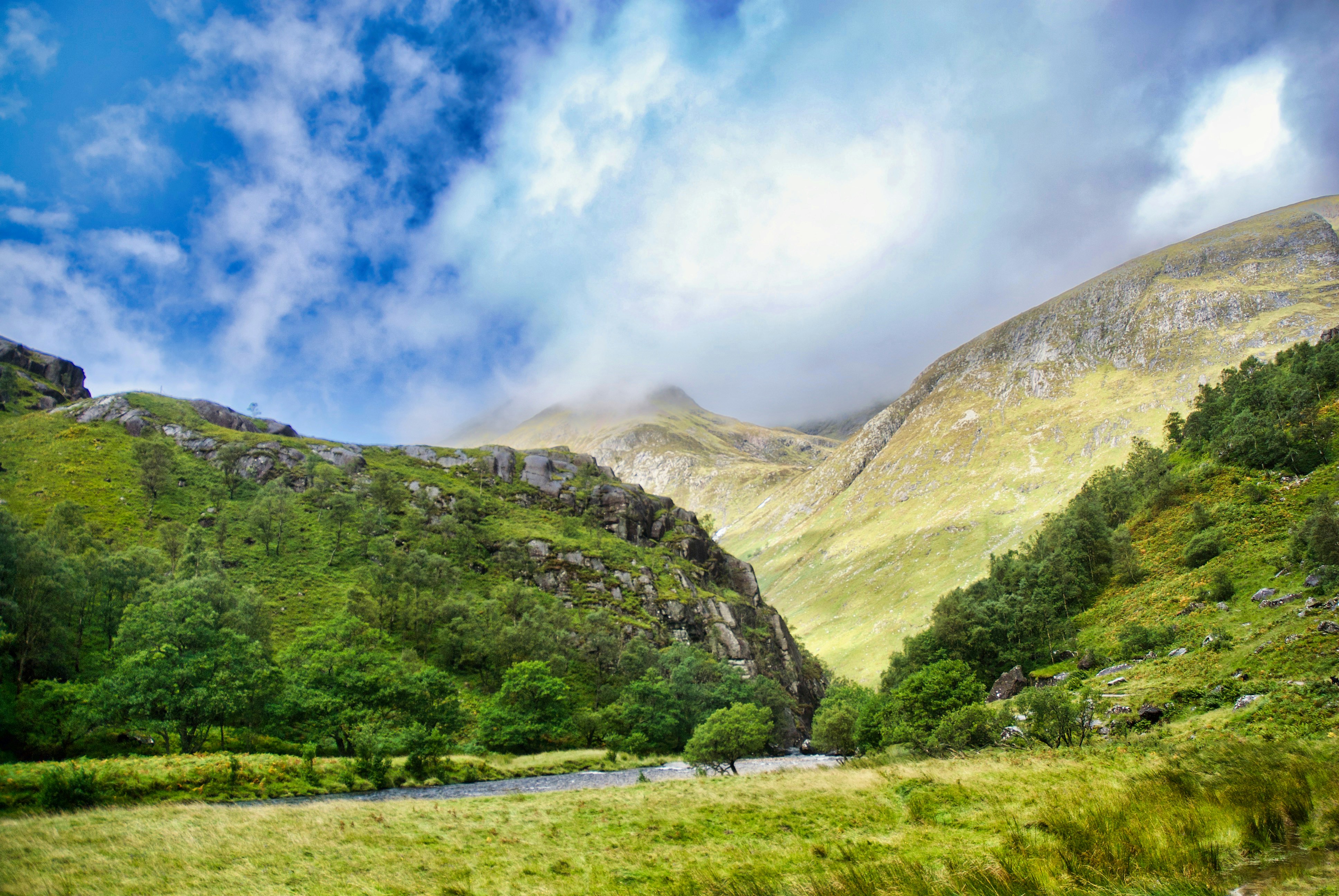 Photo by paws_and_prints